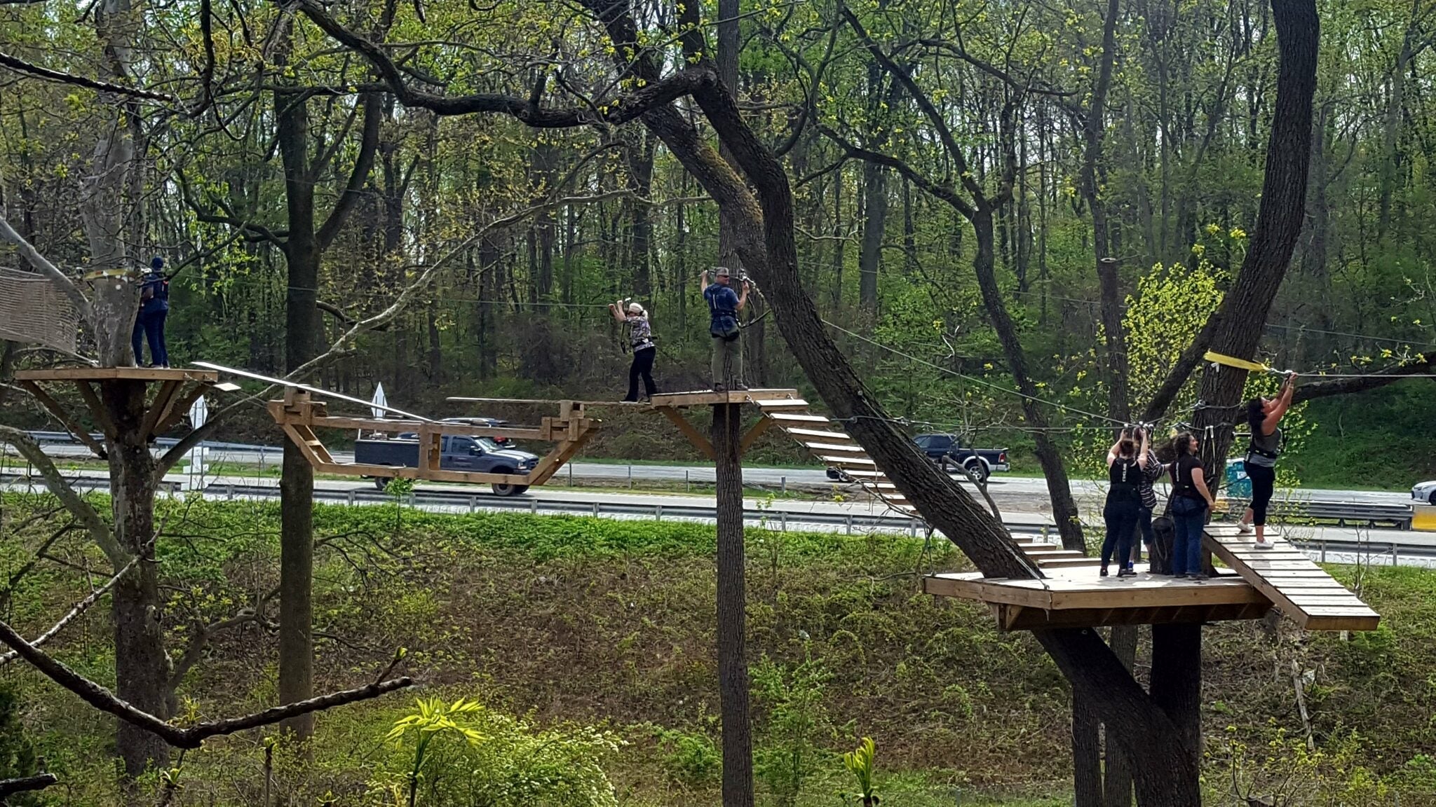 Treehouse World Offers New Experiences For 2024