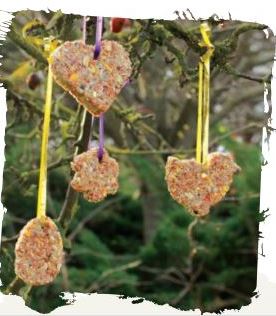 Cookie Cutter Bird Feeder