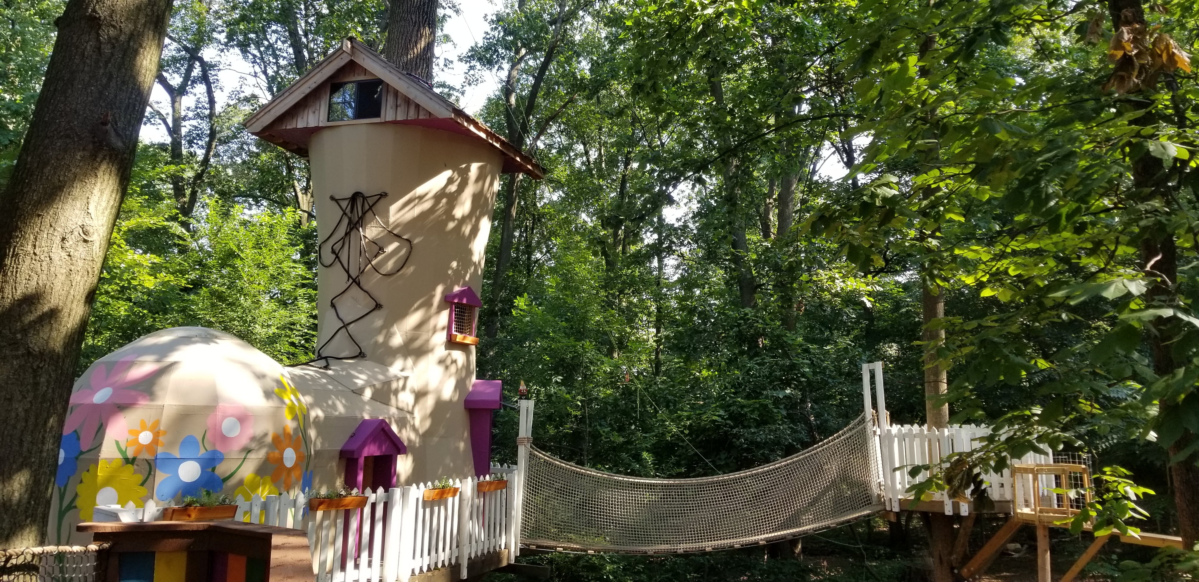 Treehouse World Adventure Park