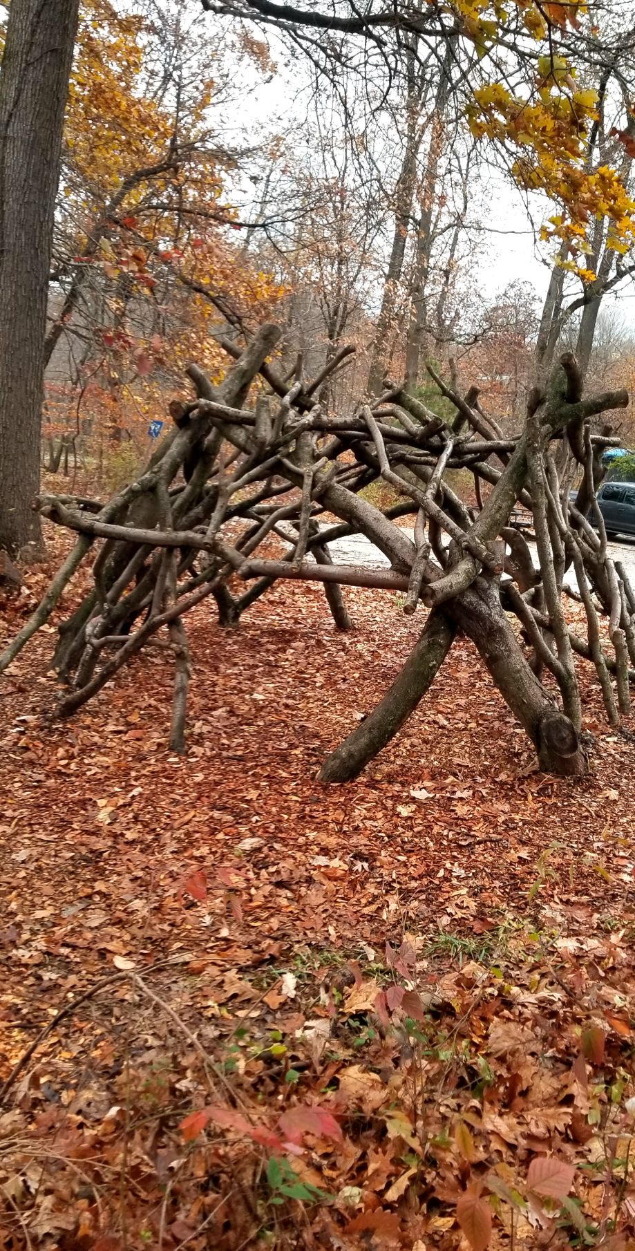 Treehouse World Adventure Park