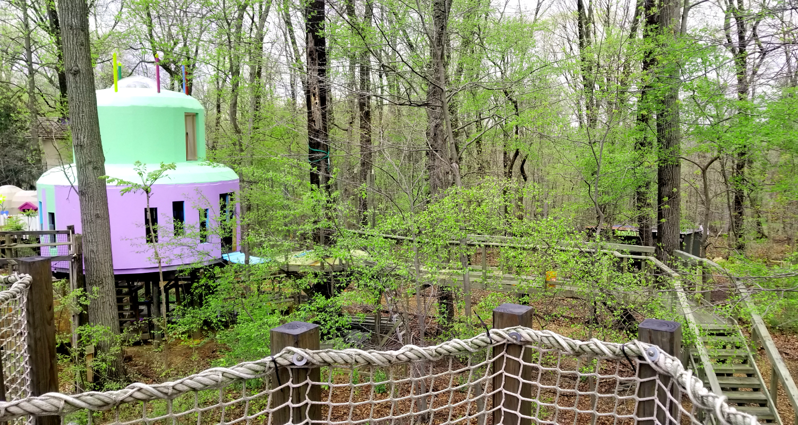 Treehouse World Adventure Park