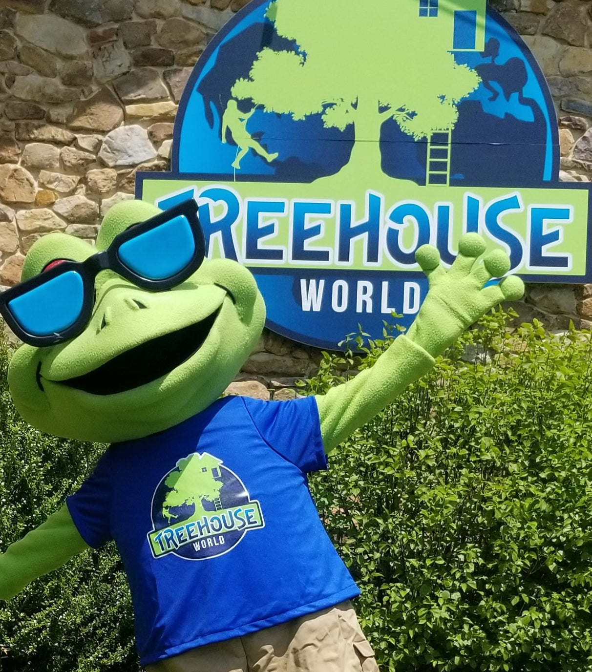 Treehouse World Adventure Park