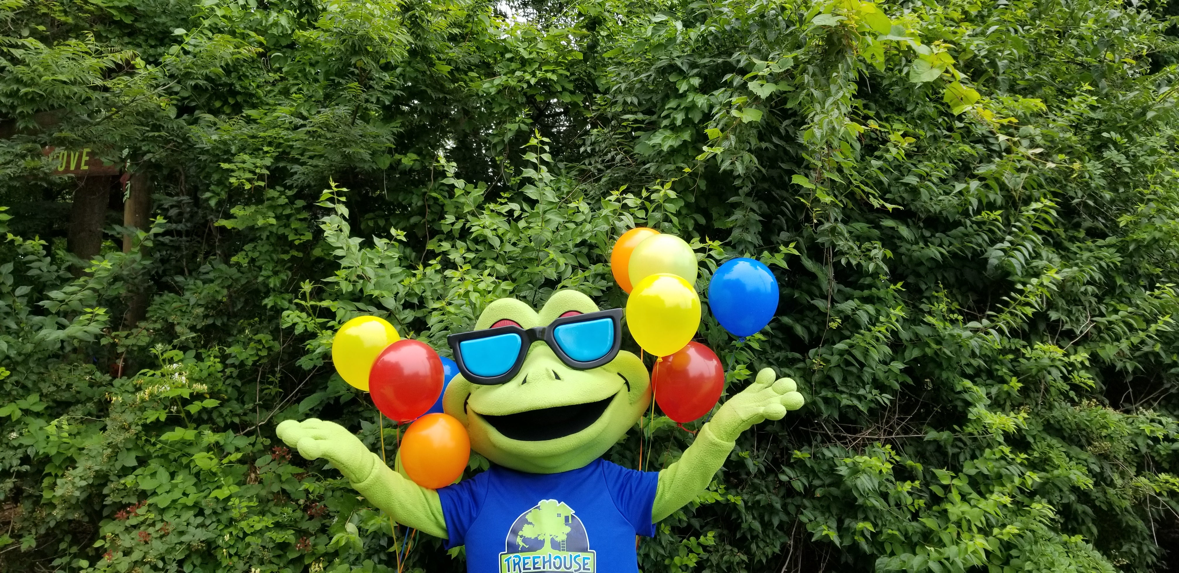 Treehouse World Adventure Park