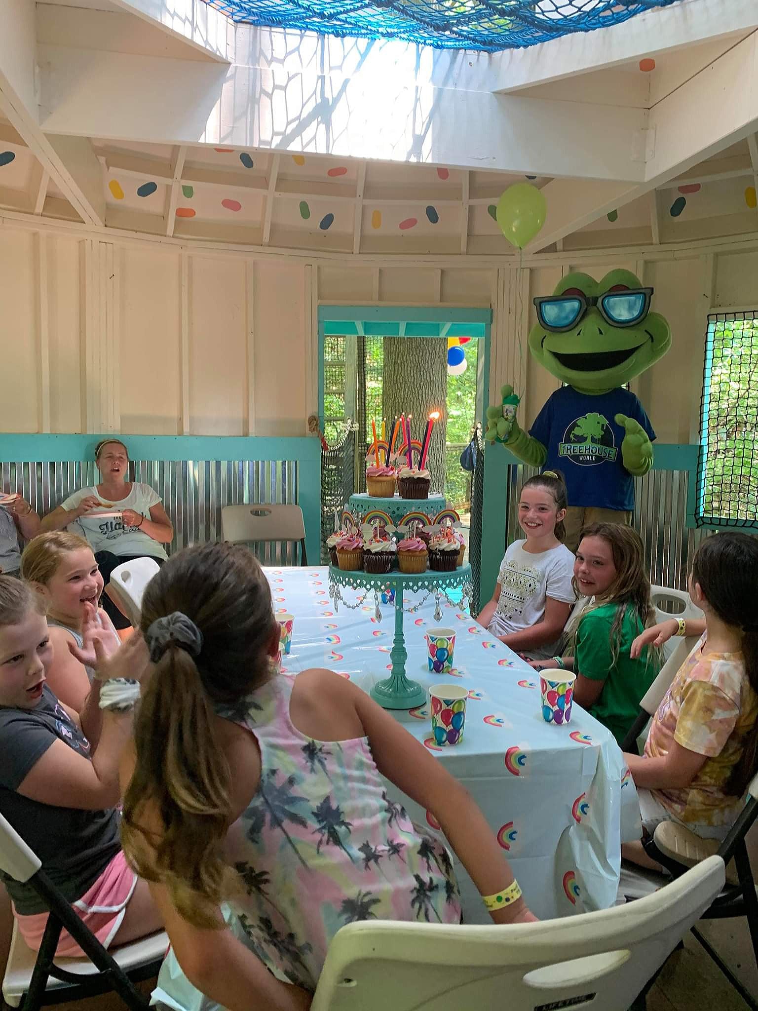 Treehouse World Adventure Park