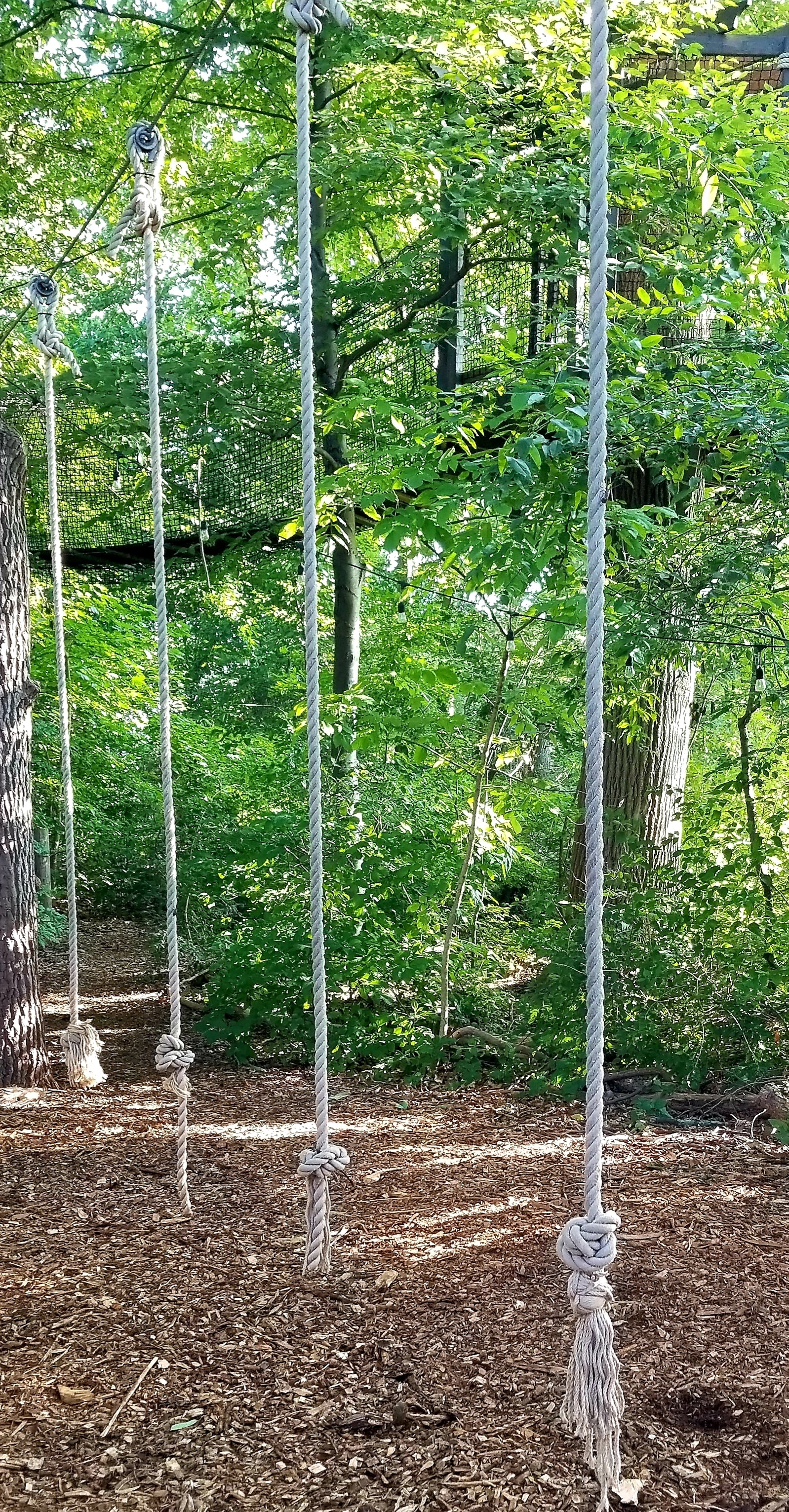 Treehouse World Adventure Park