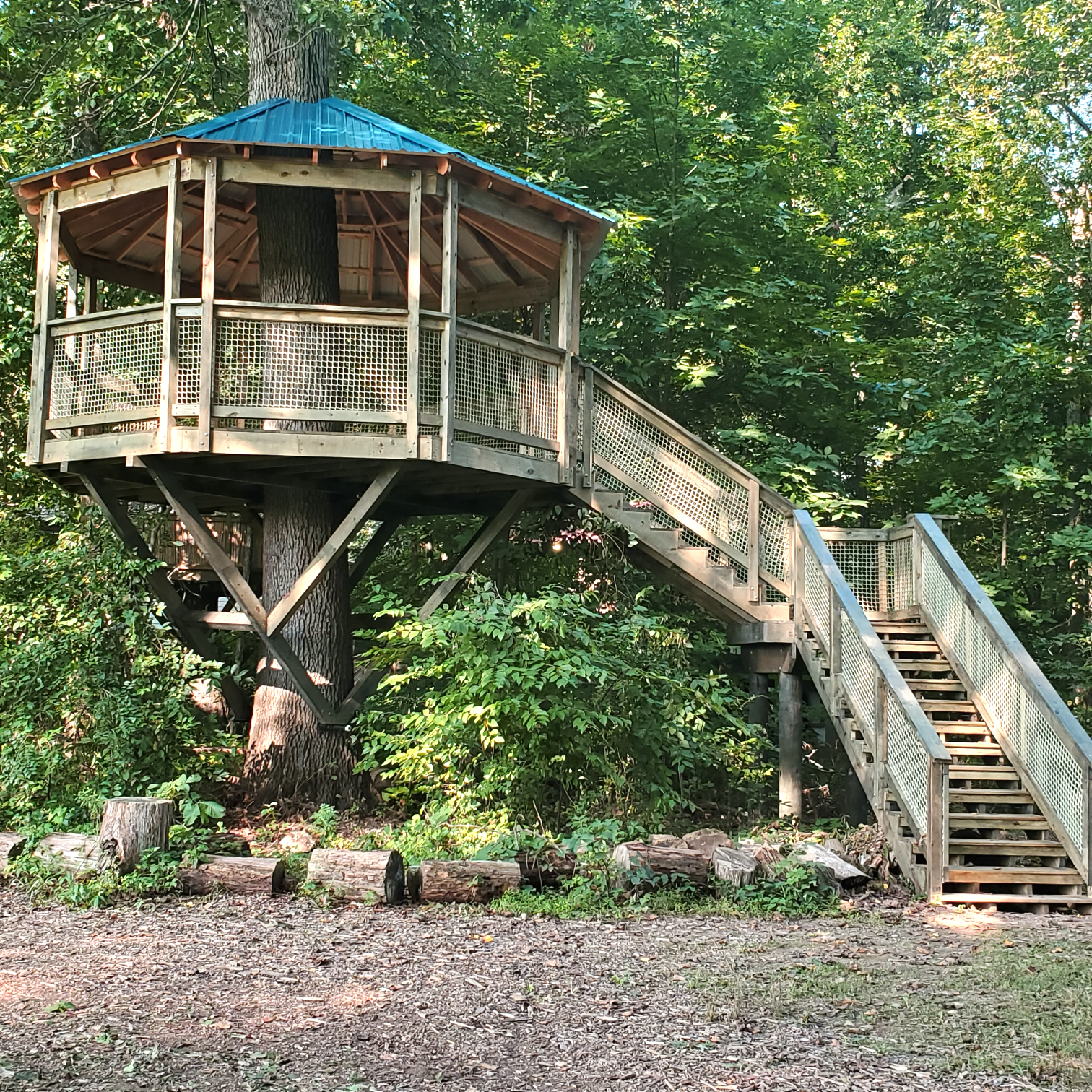 Treehouse World Adventure Park