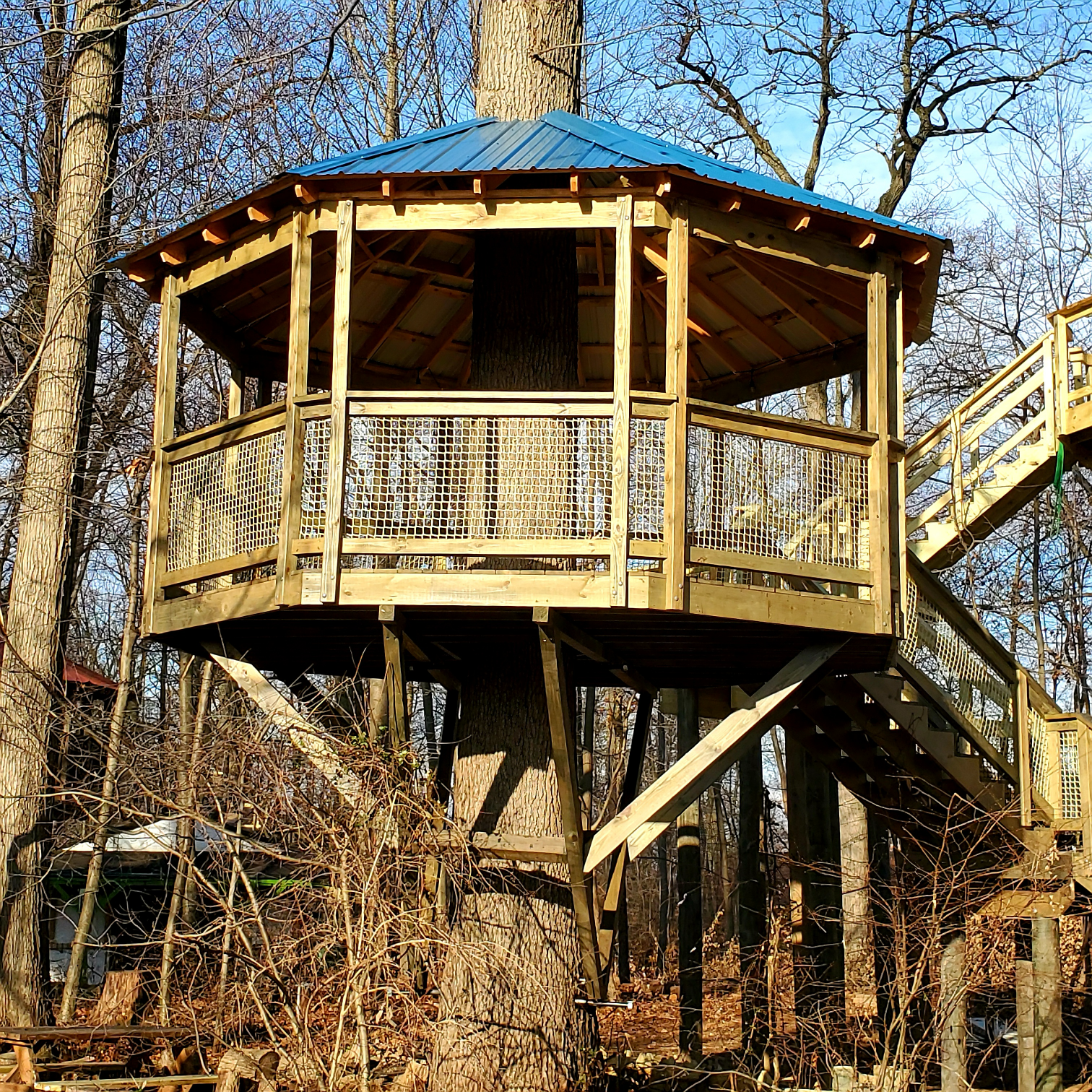 Treehouse World Adventure Park