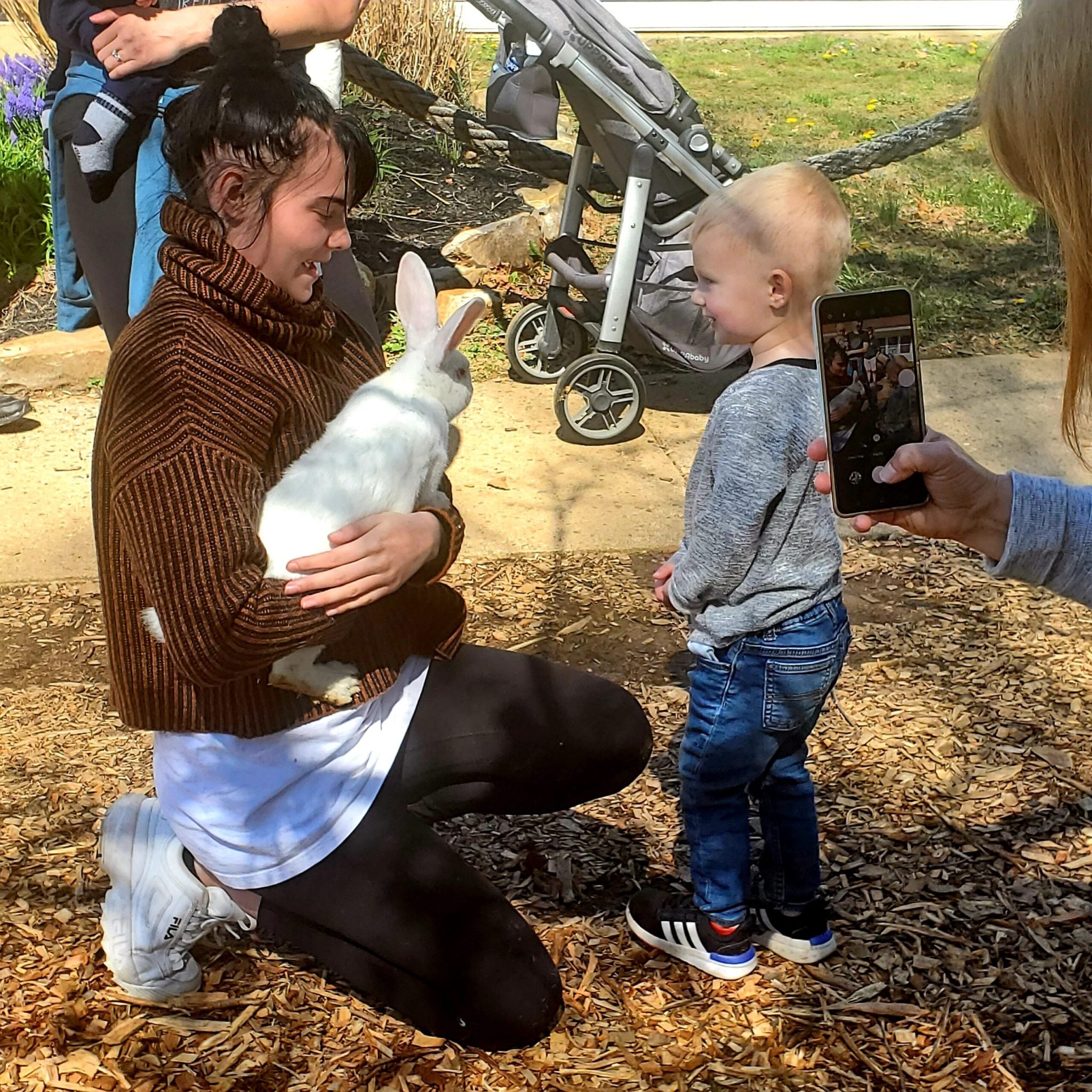 Treehouse World Adventure Park