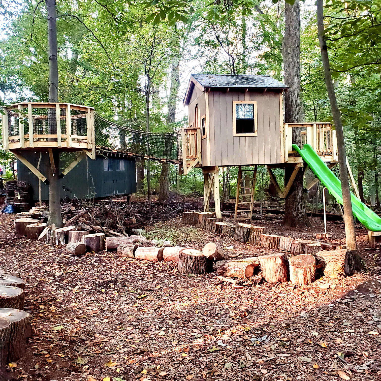 Treehouse World Adventure Park