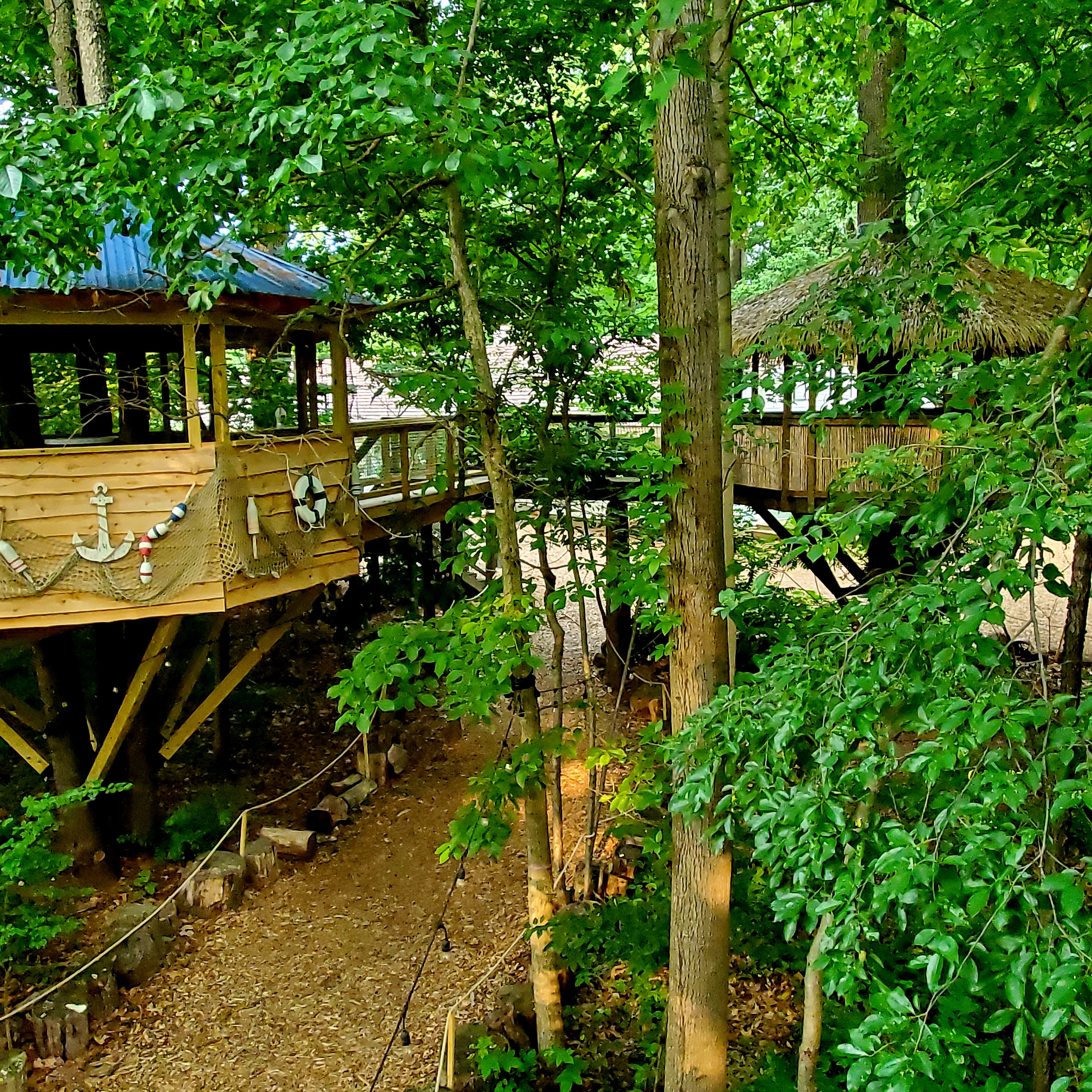Treehouse World Adventure Park