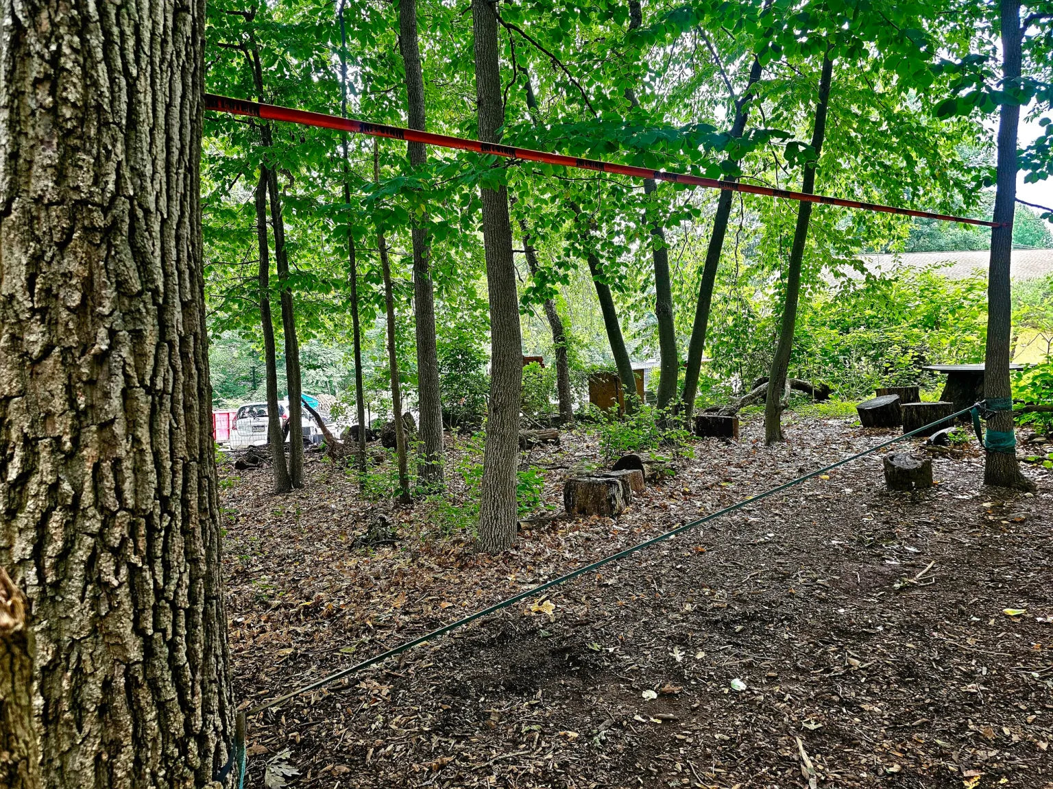 Treehouse World Adventure Park