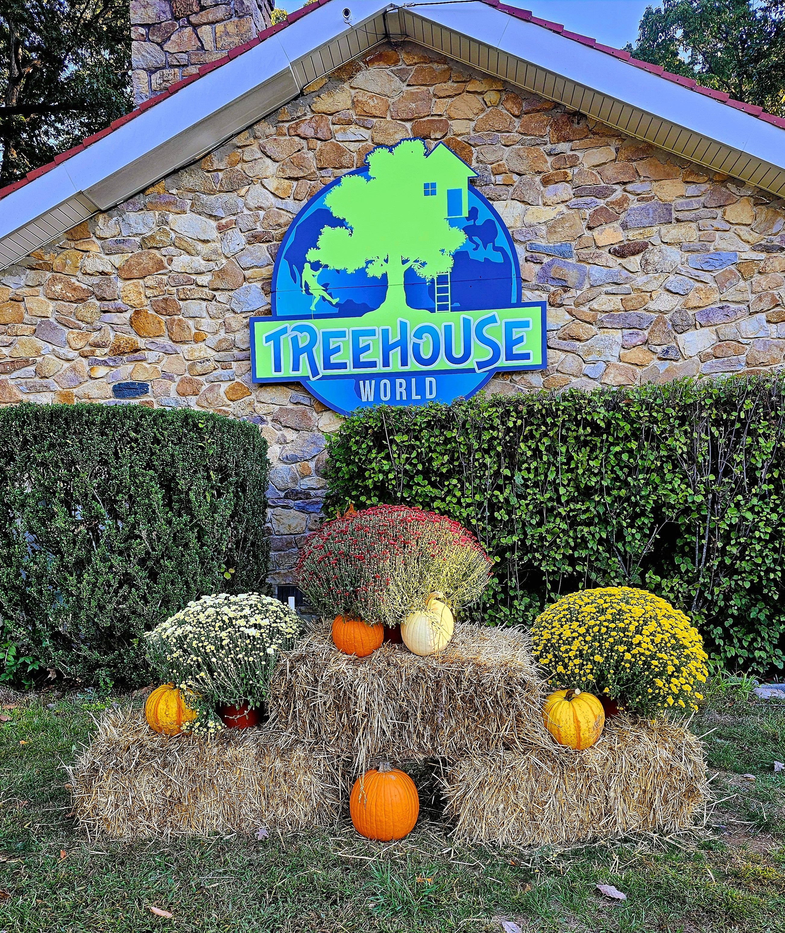 Treehouse World Adventure Park