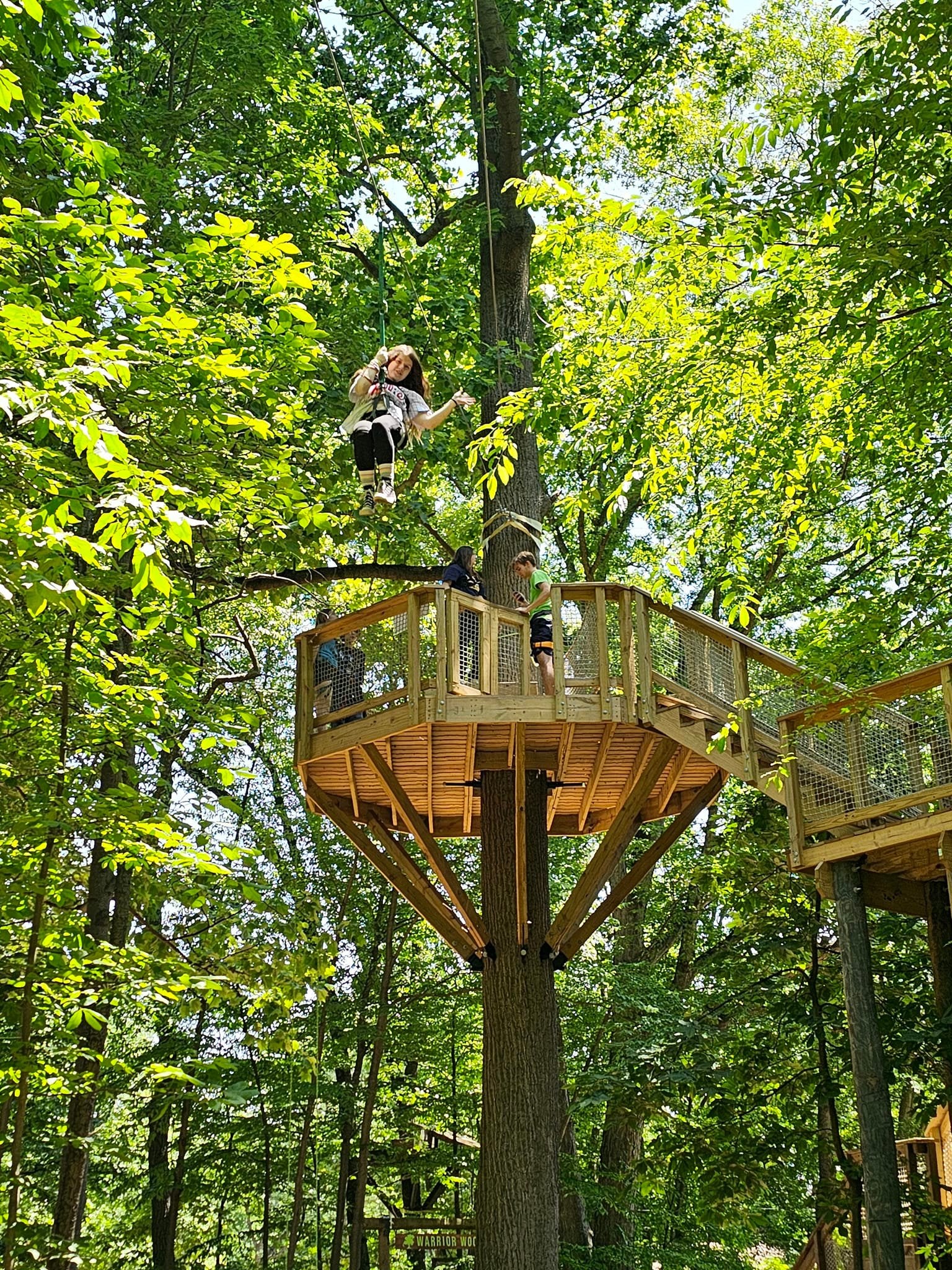 Treehouse World Adventure Park