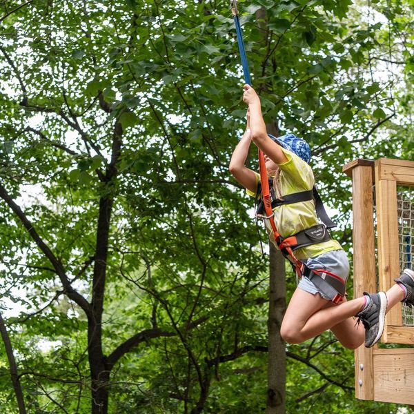 Treehouse World Adventure Park