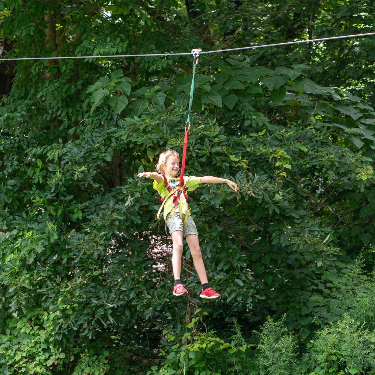 Treehouse World Adventure Park