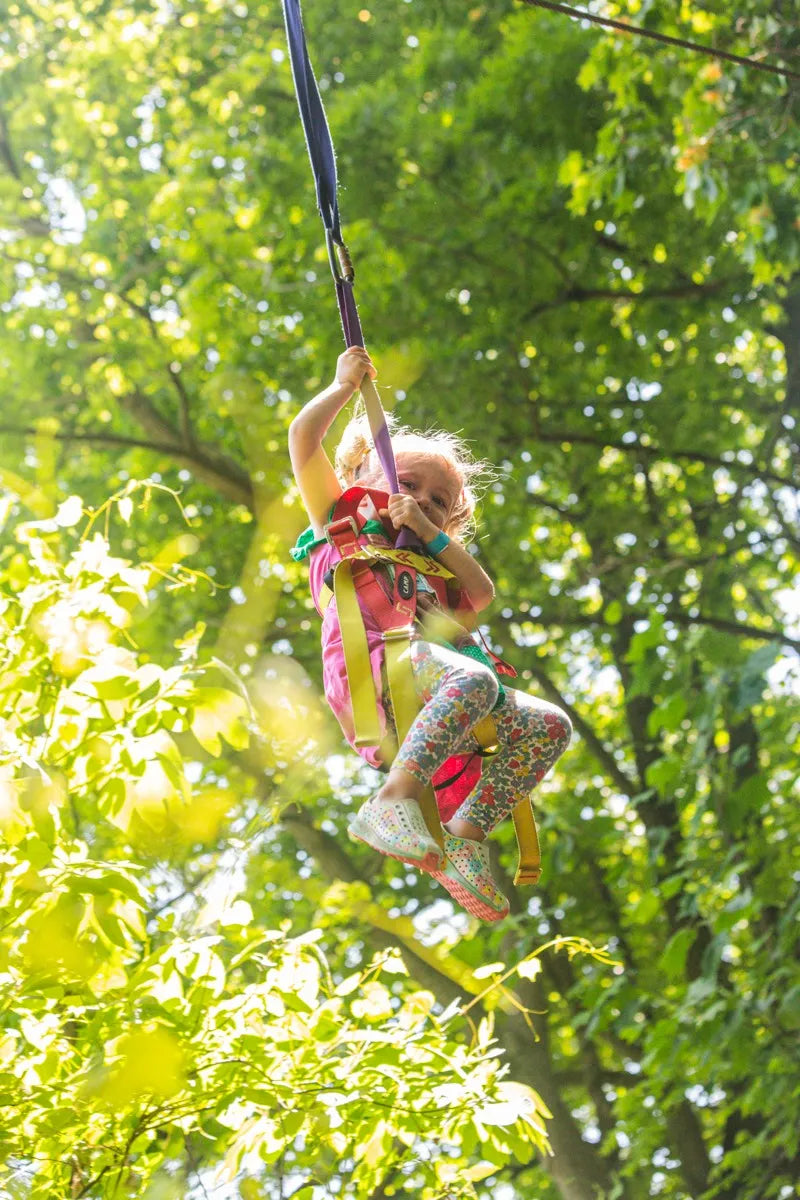 Treehouse World Adventure Park