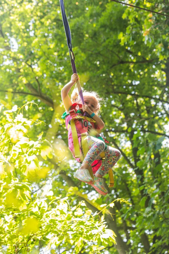 Treehouse World Adventure Park