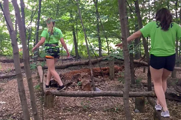 Treehouse World Adventure Park