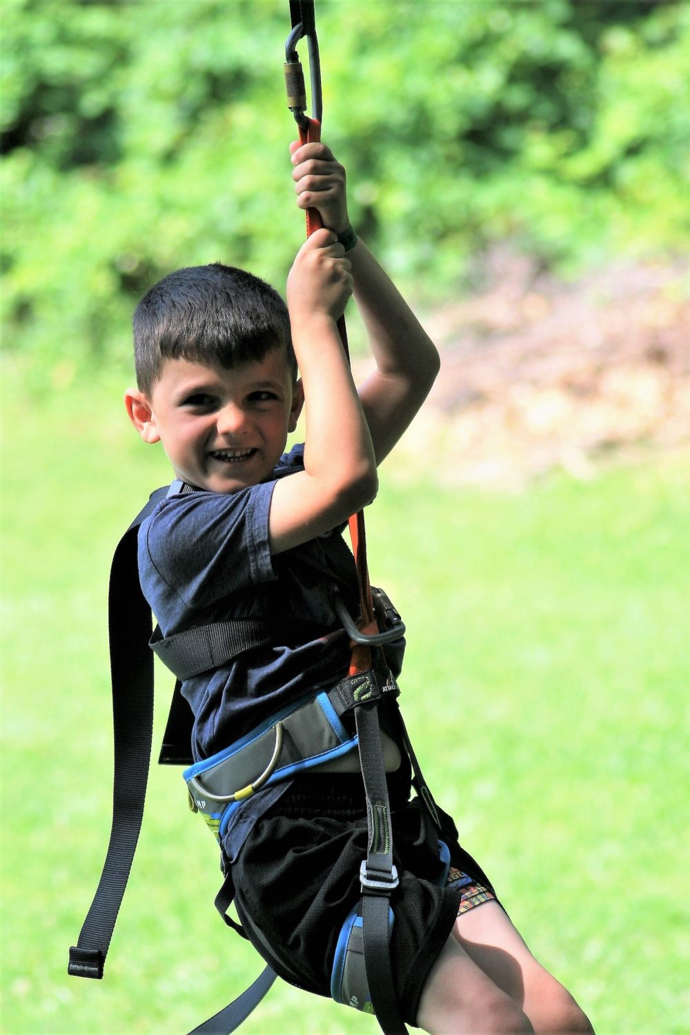 Treehouse World Adventure Park