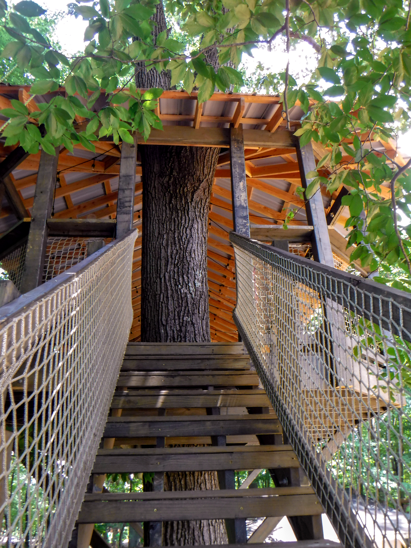 Treehouse World Adventure Park