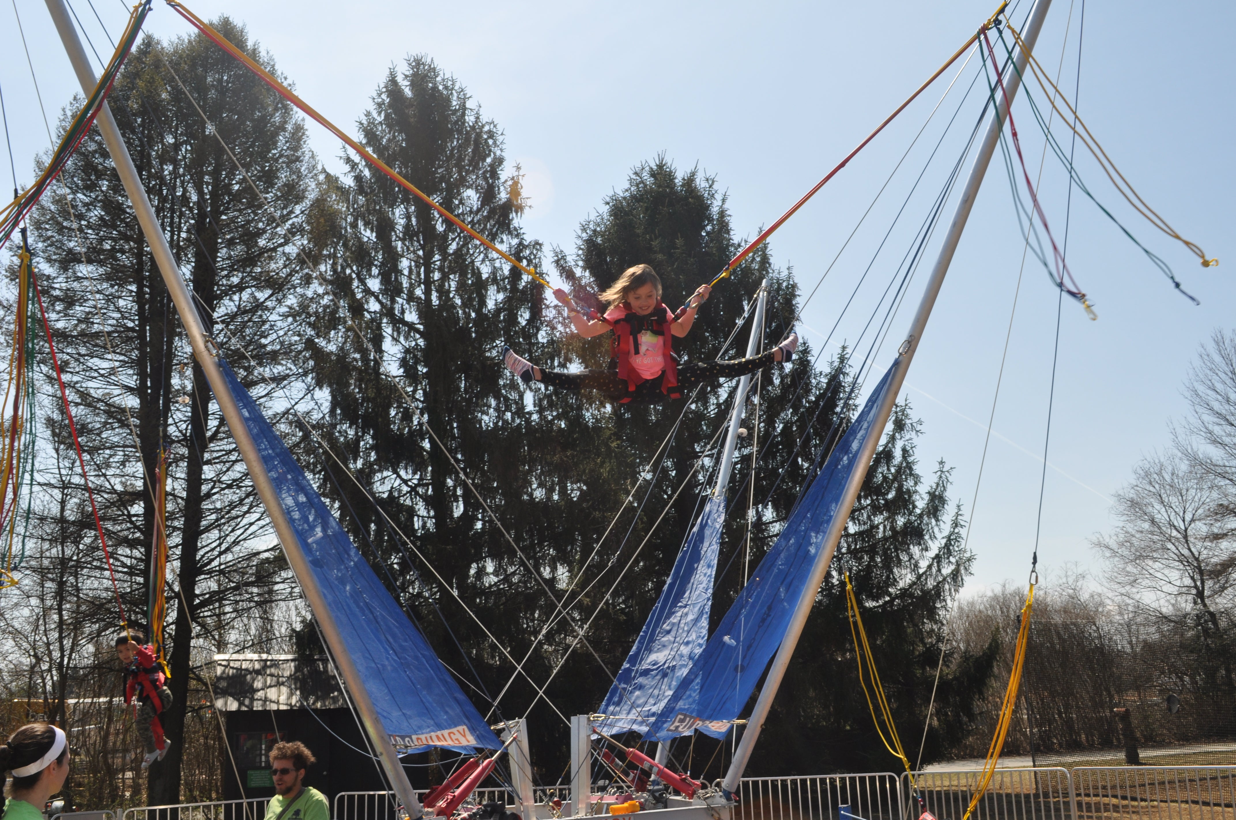 Treehouse World Adventure Park