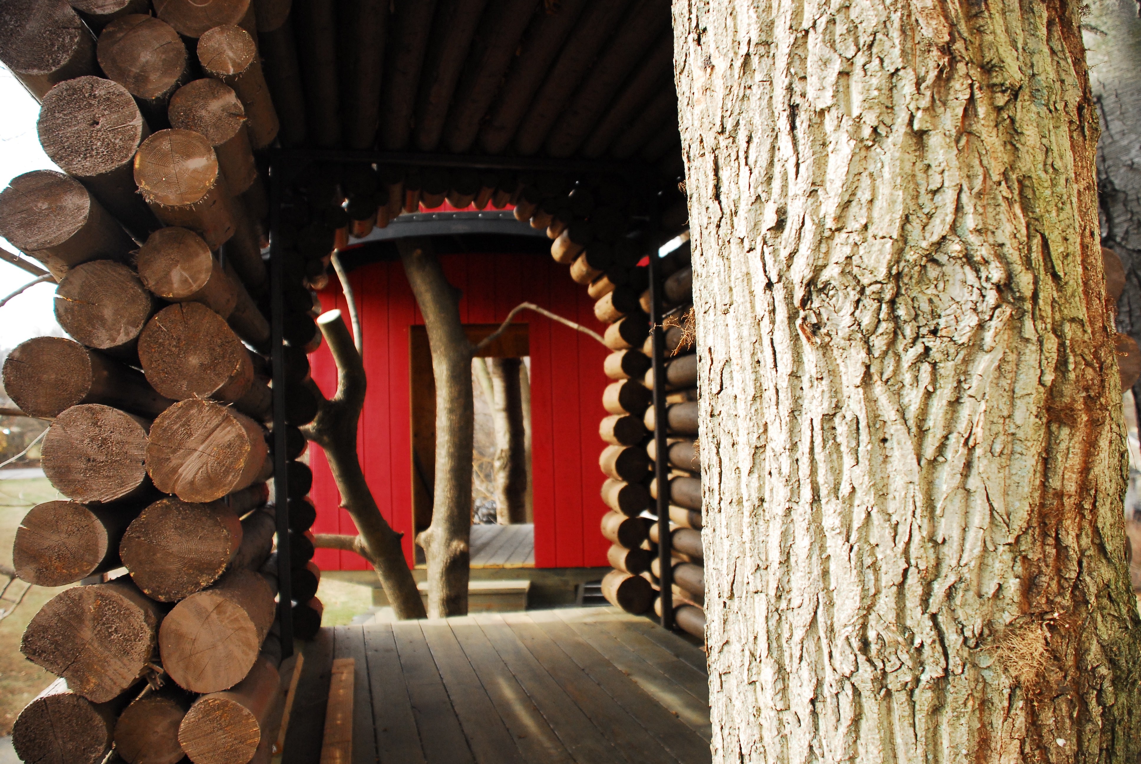 Treehouse World Adventure Park