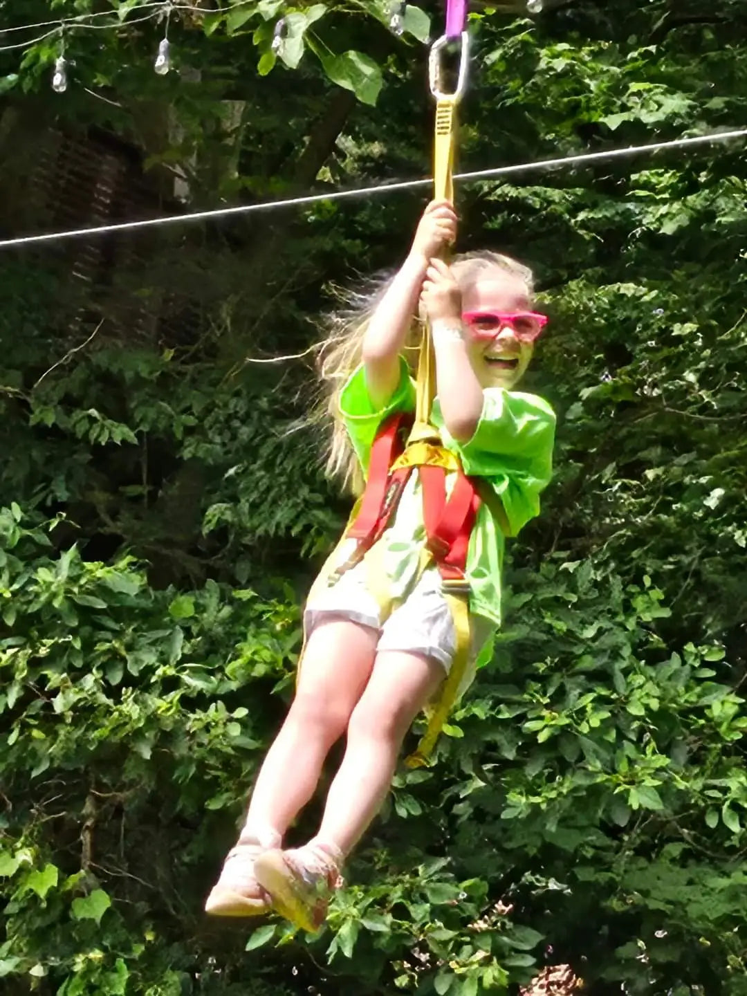 Treehouse World Adventure Park