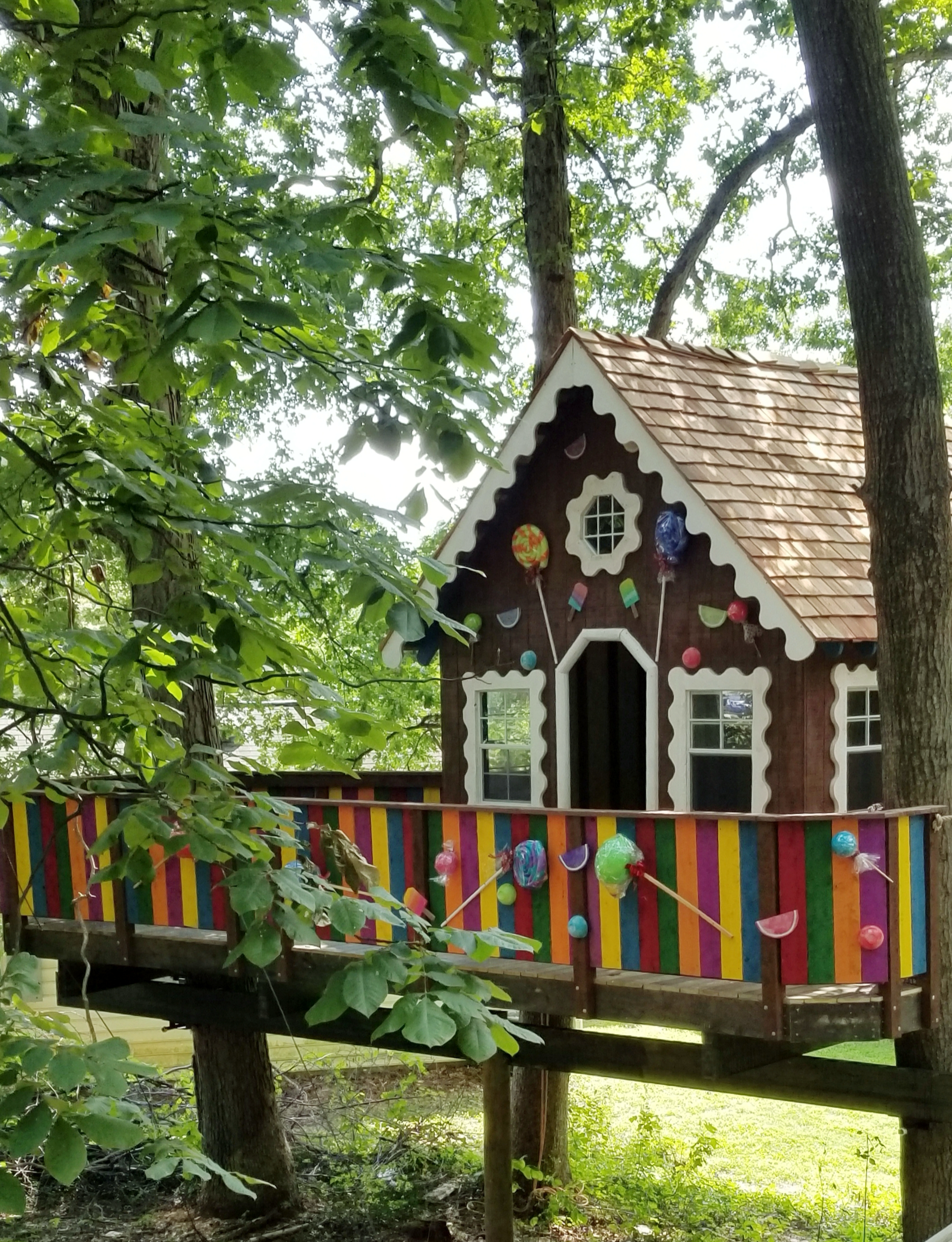 Treehouse World Adventure Park