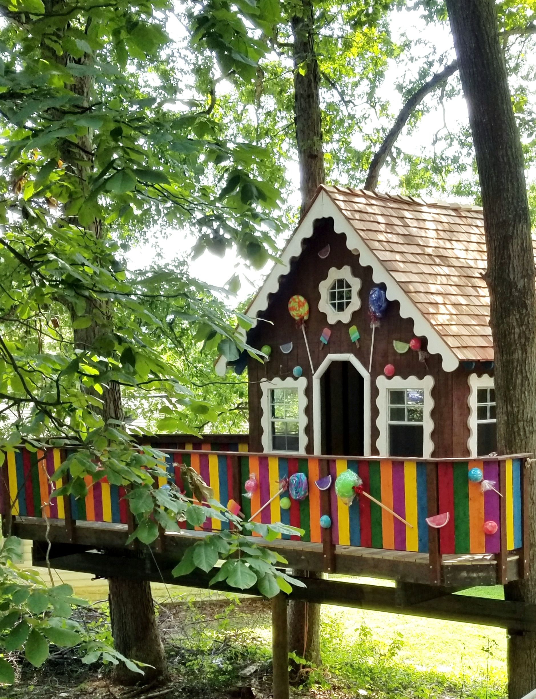 Treehouse World Adventure Park