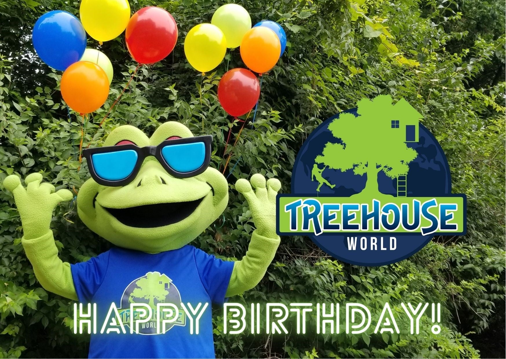Treehouse World Adventure Park