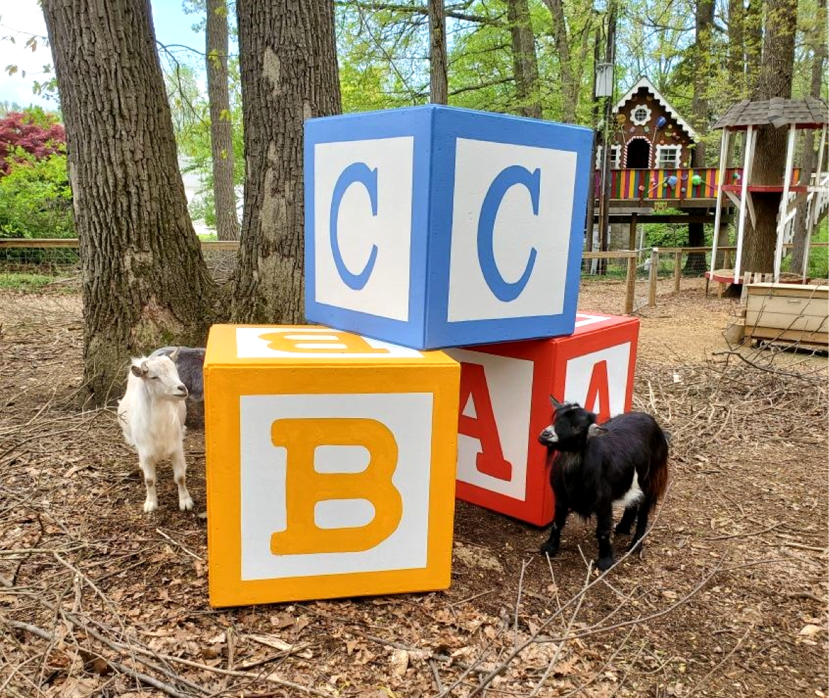 Treehouse World Adventure Park