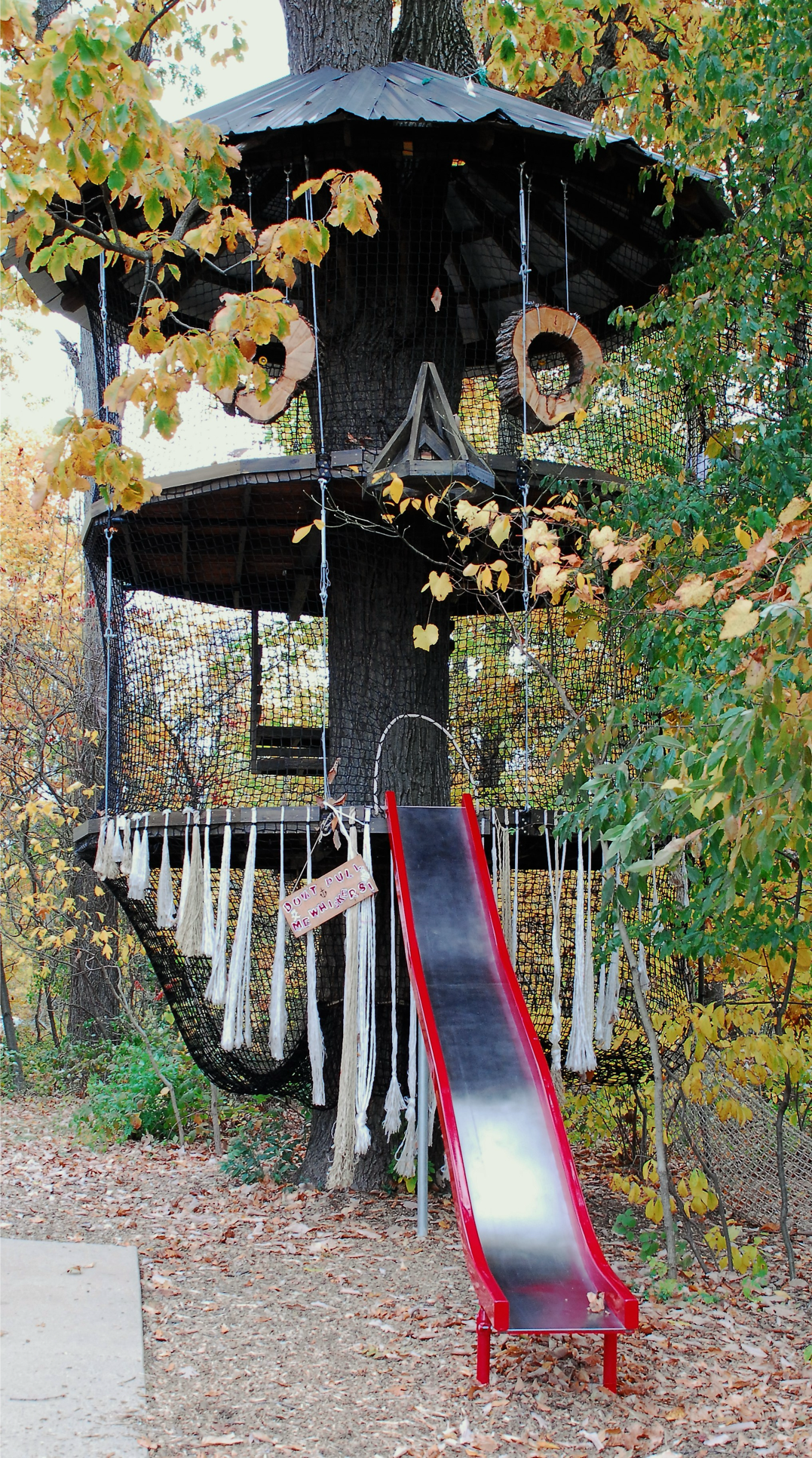 Treehouse World Adventure Park