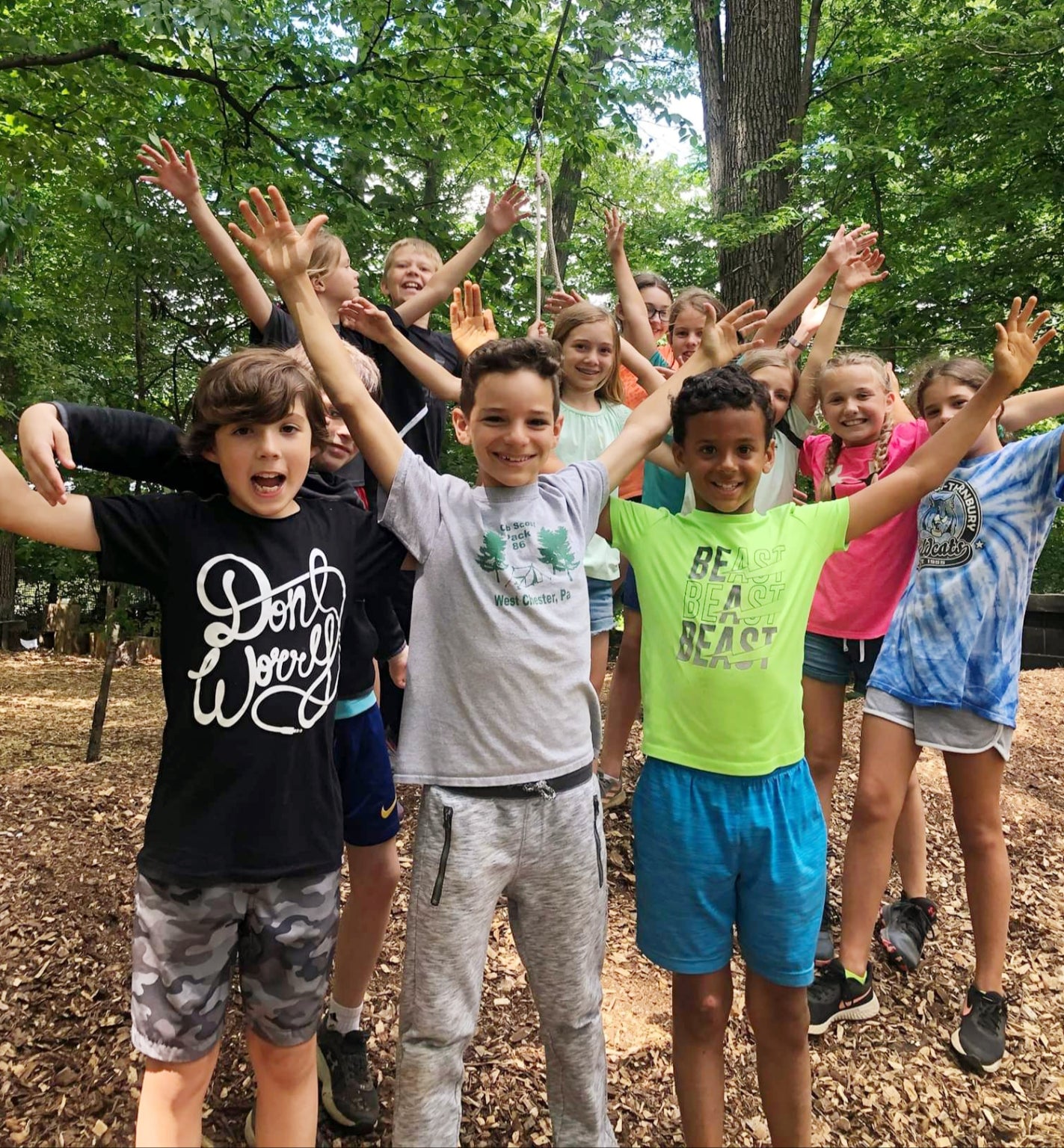 Treehouse World Adventure Park