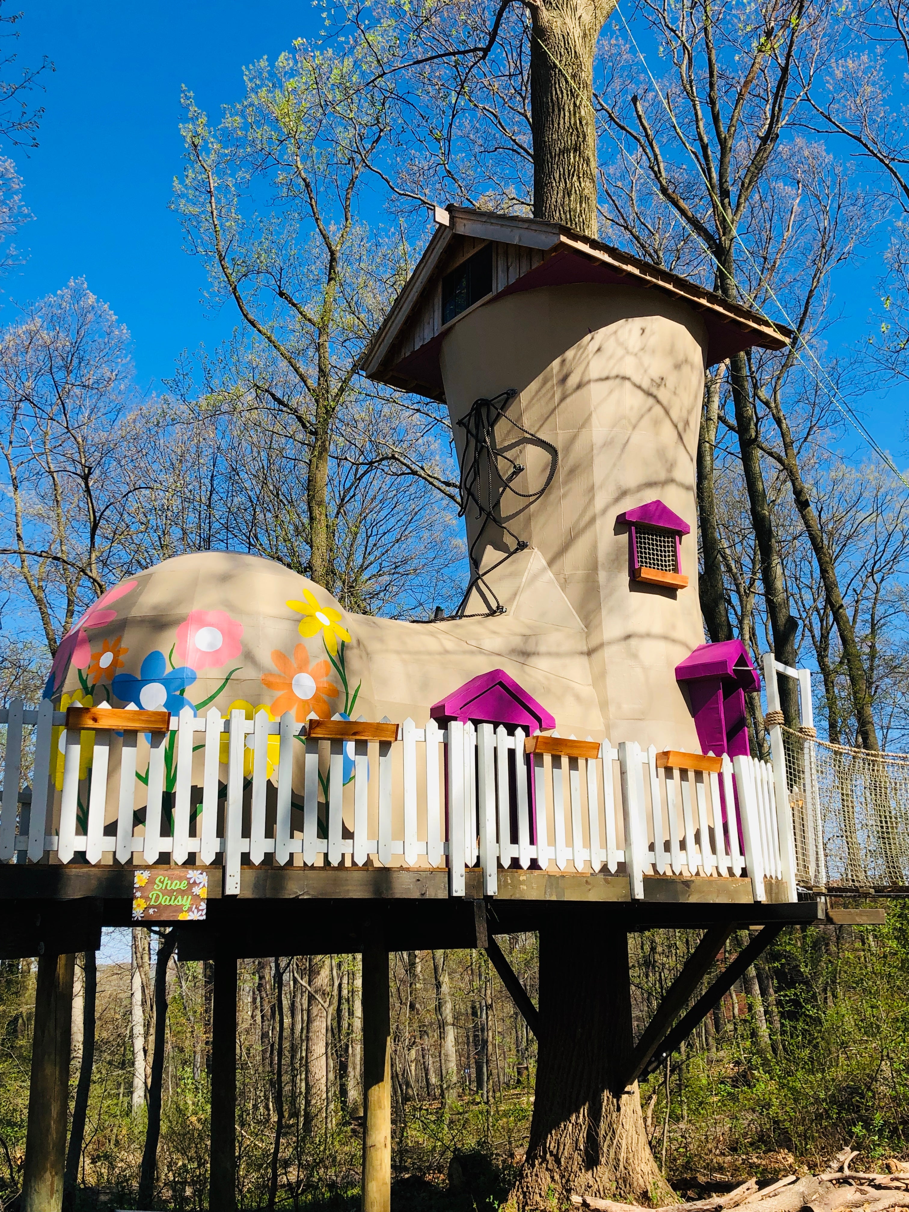 Treehouse World Adventure Park