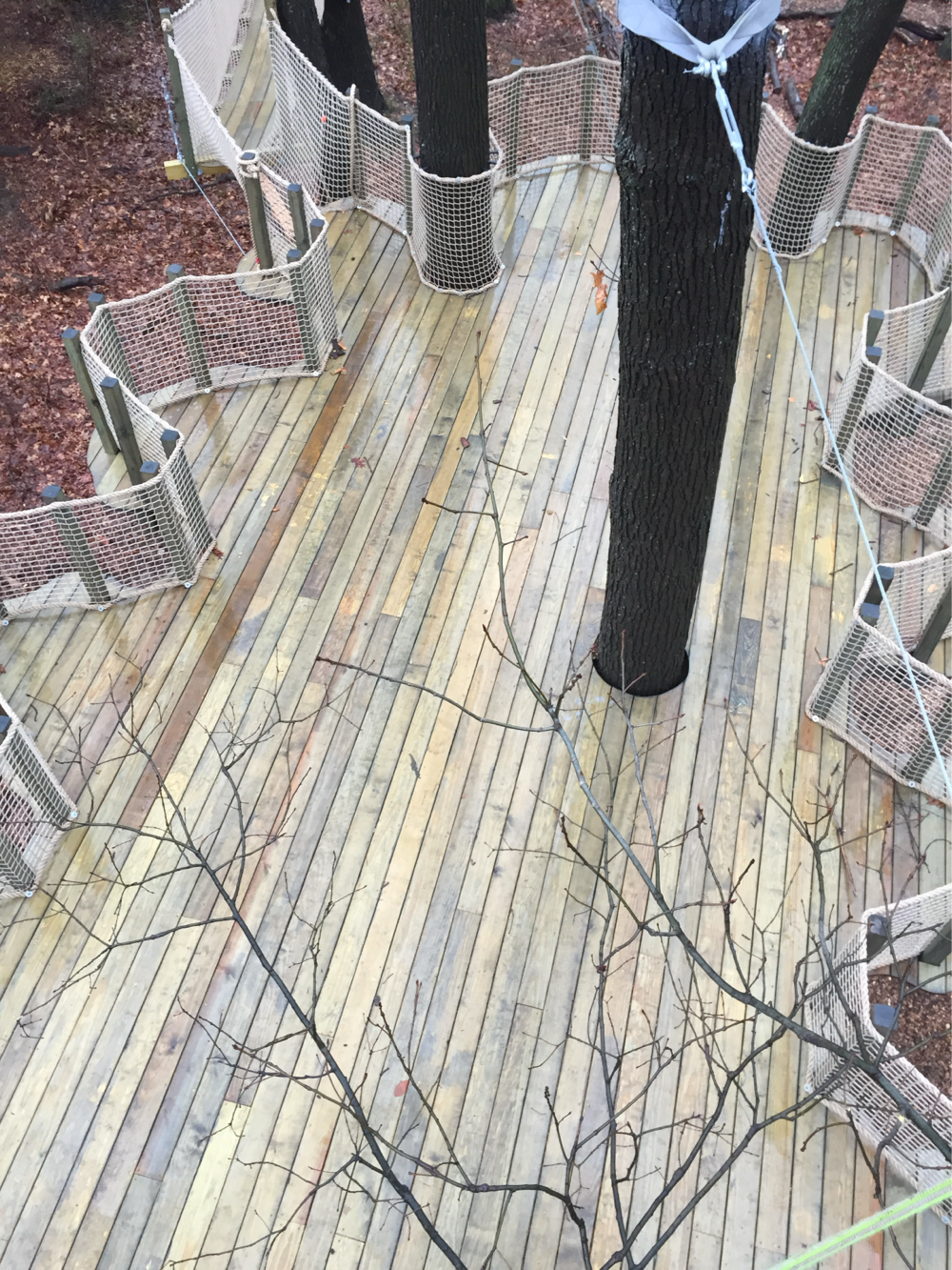 Treehouse World Adventure Park