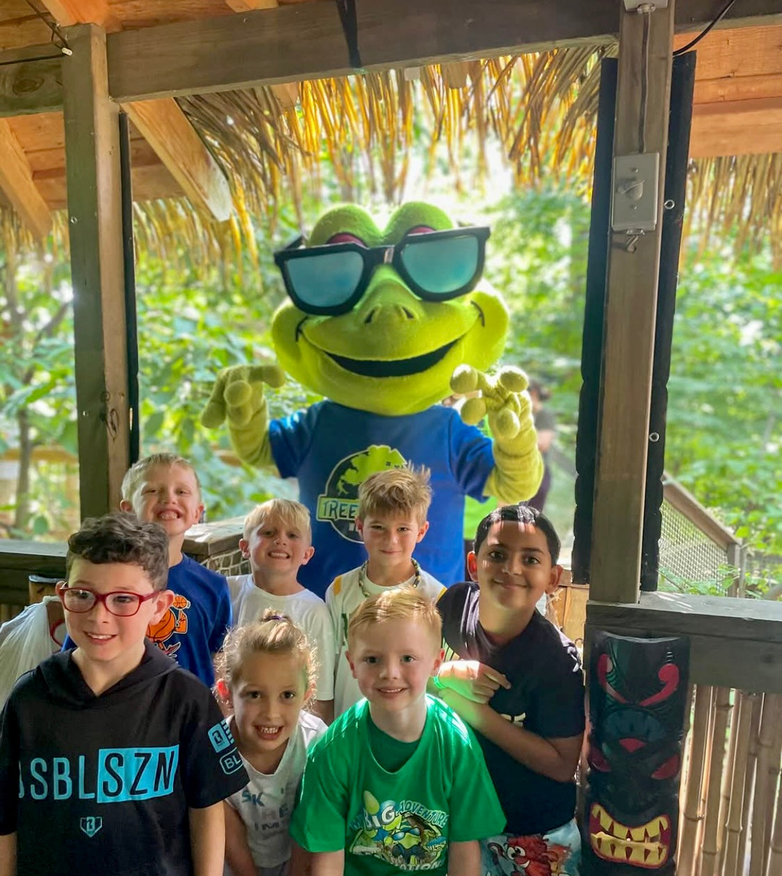 Treehouse World Adventure Park