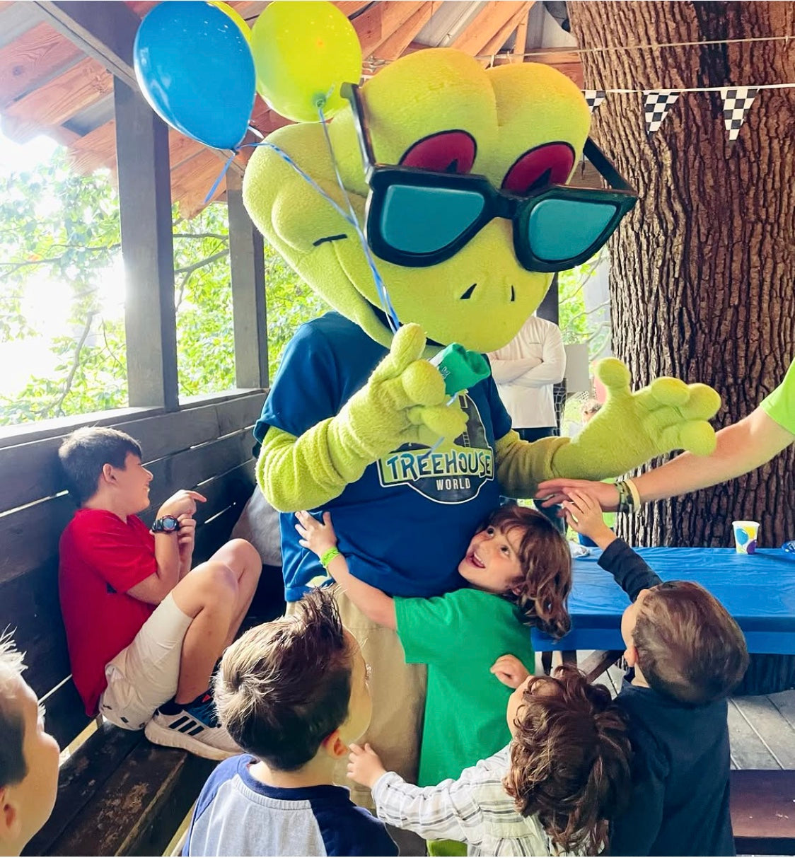 Treehouse World Adventure Park