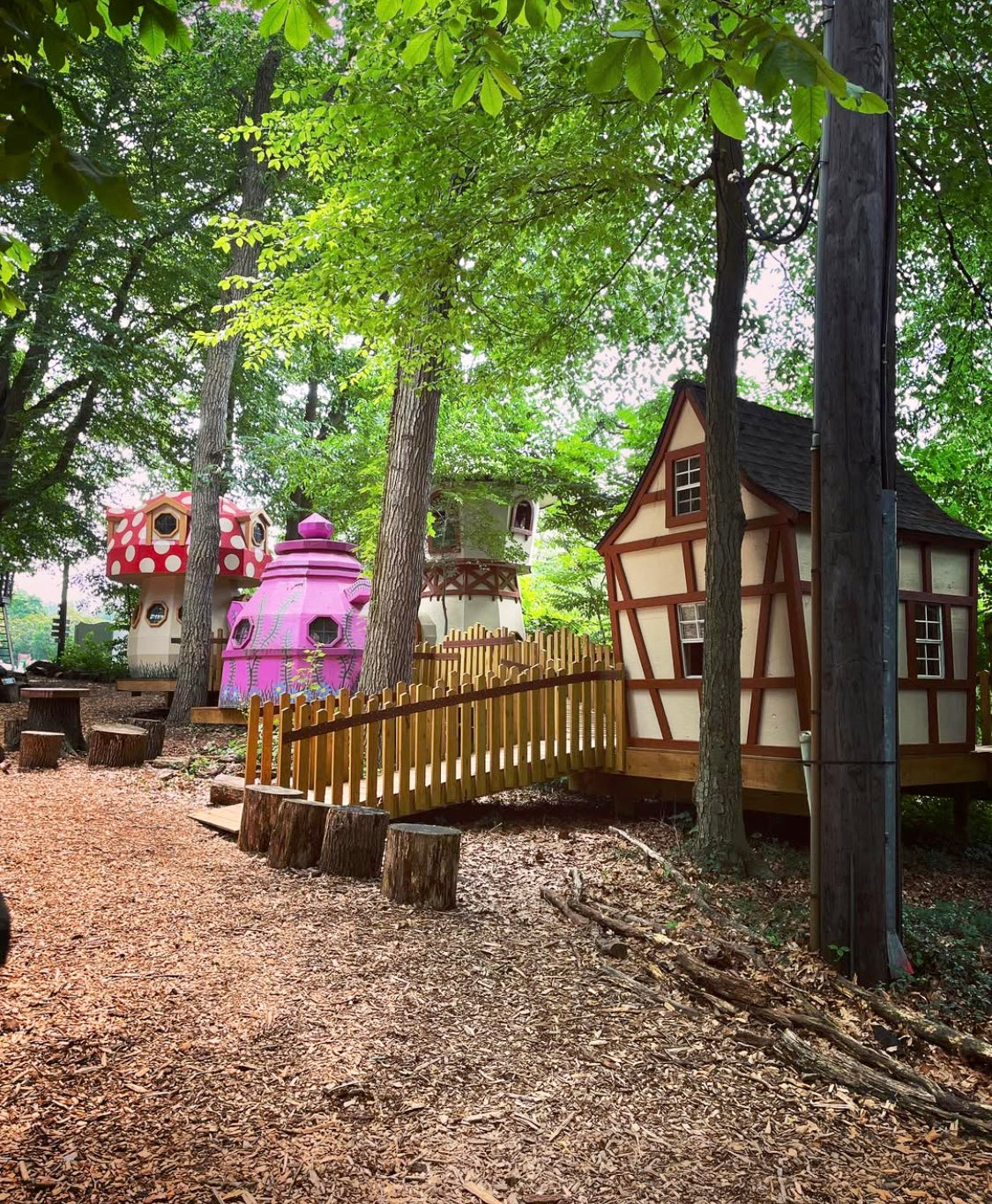 Treehouse World Adventure Park