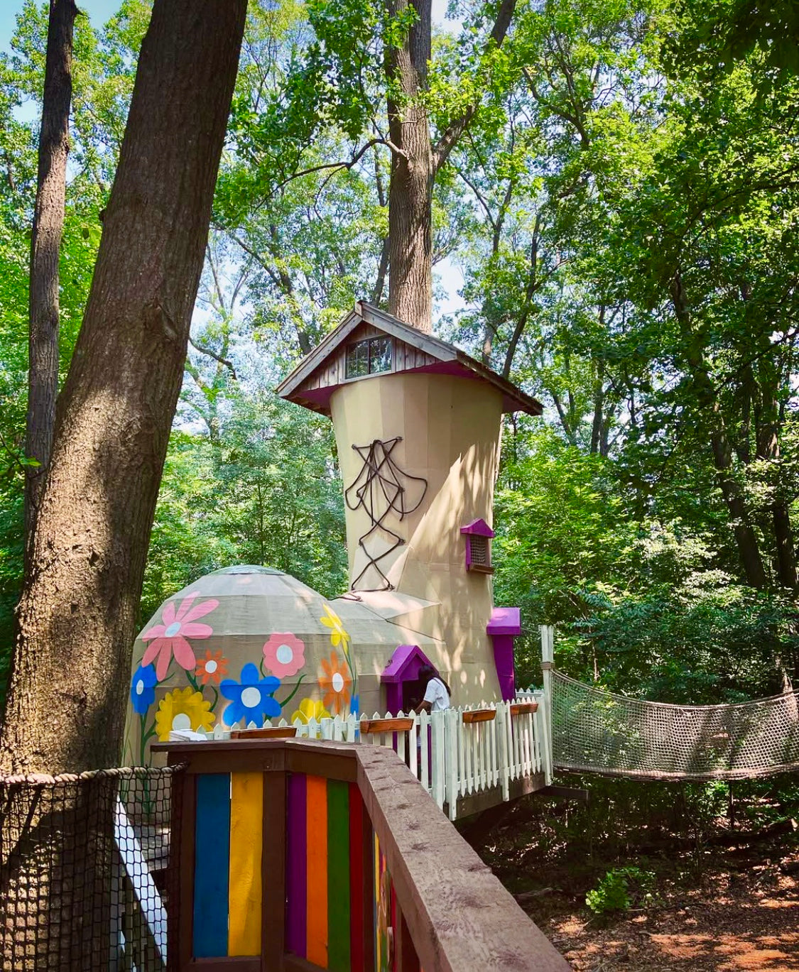 Treehouse World Adventure Park