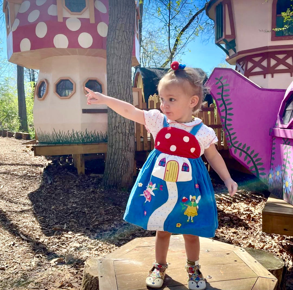 Treehouse World Adventure Park