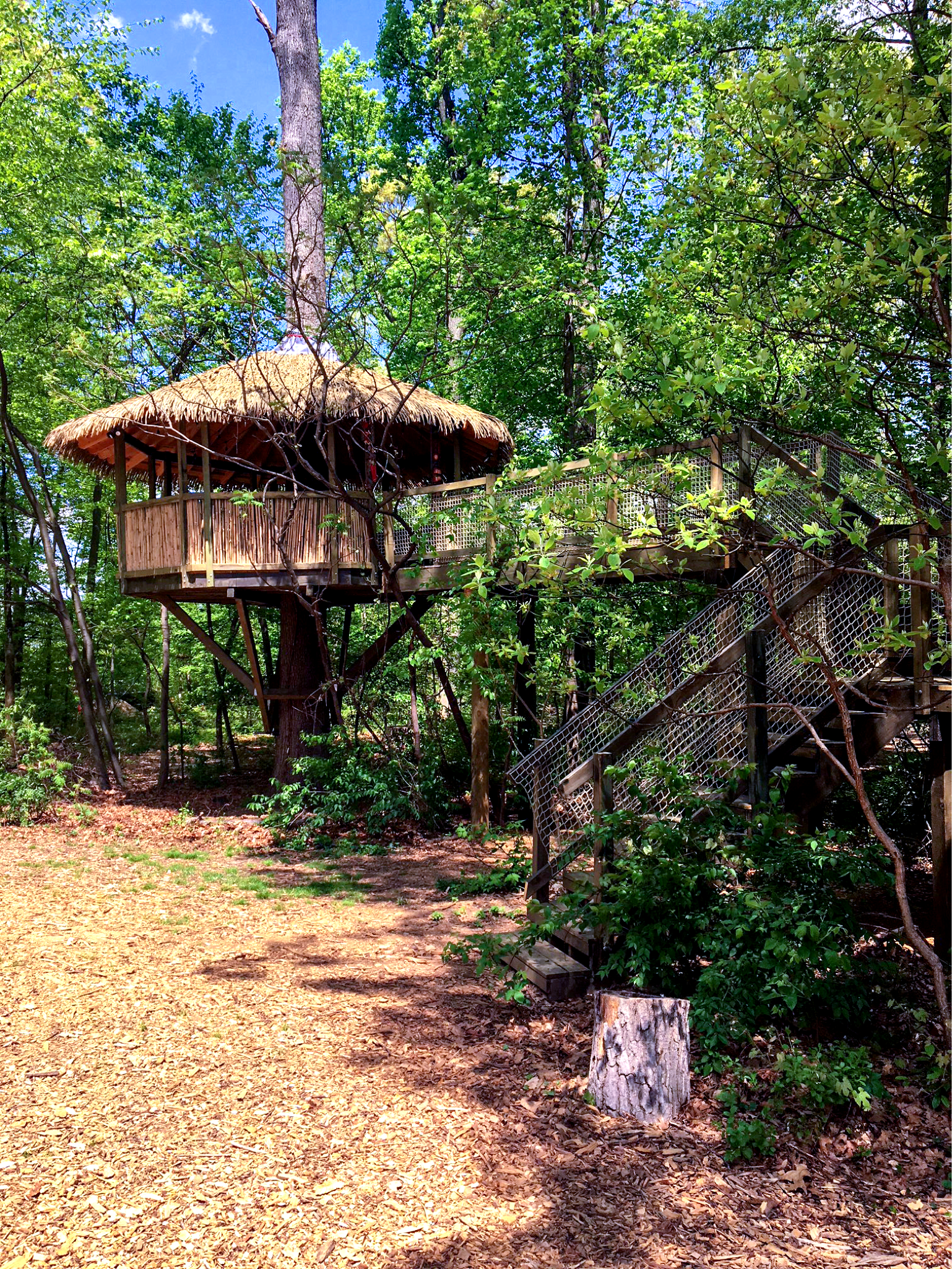 Treehouse World Adventure Park