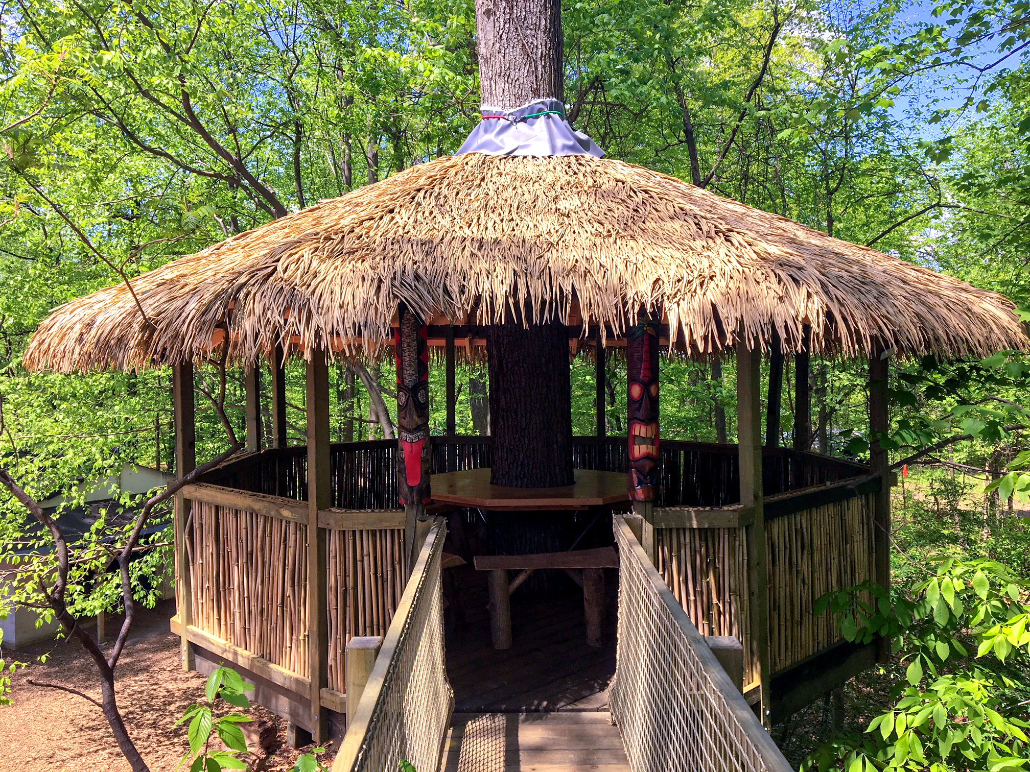 Treehouse World Adventure Park