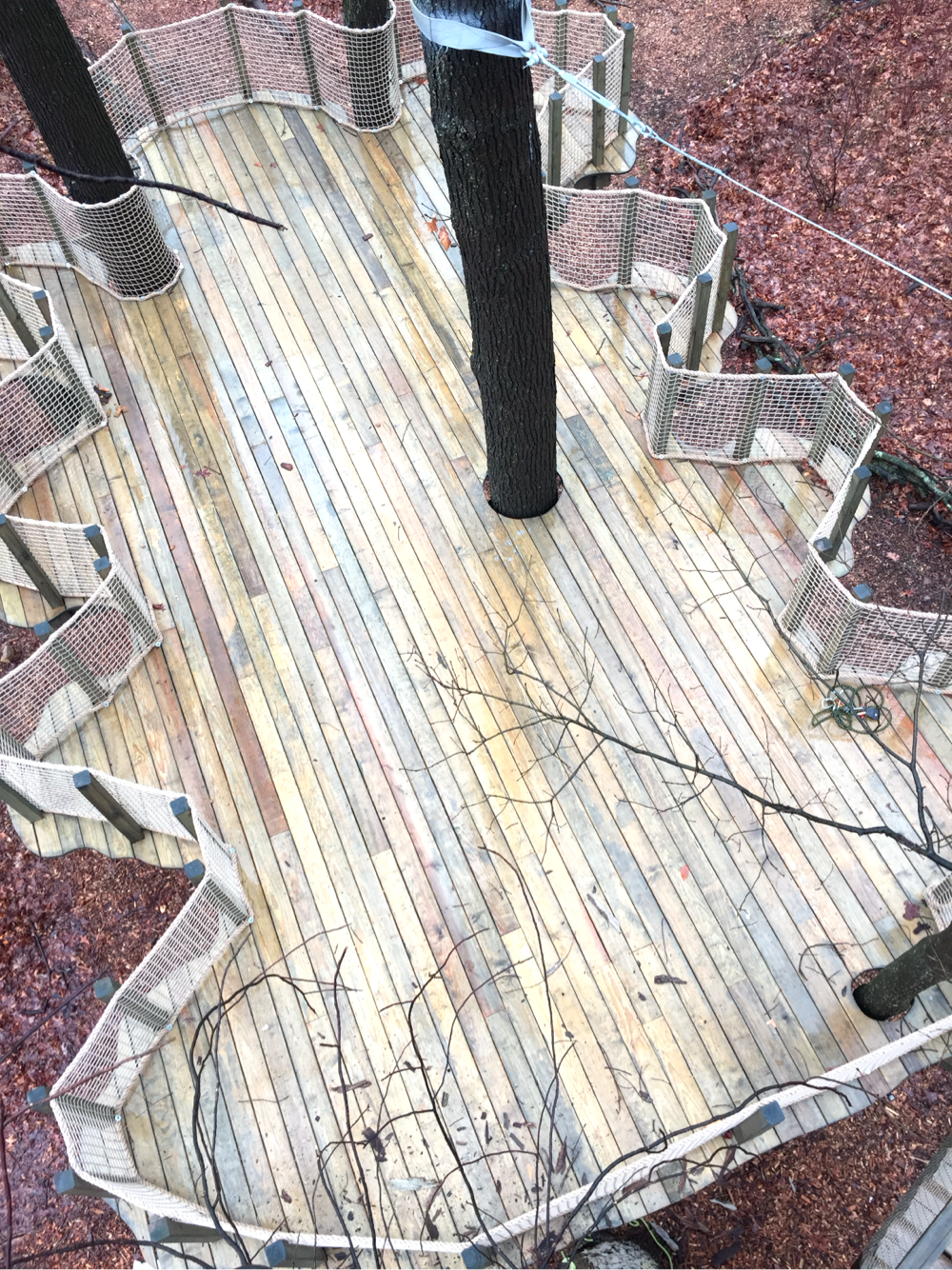 Treehouse World Adventure Park