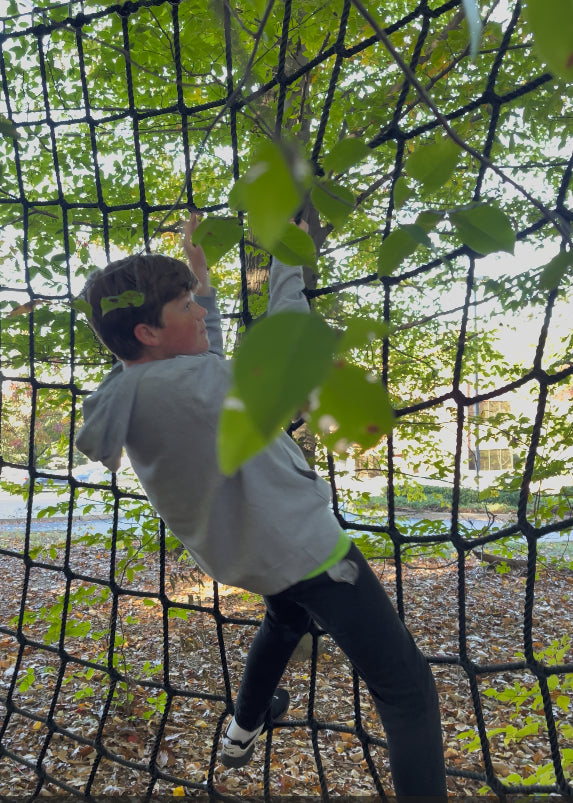 Treehouse World Adventure Park