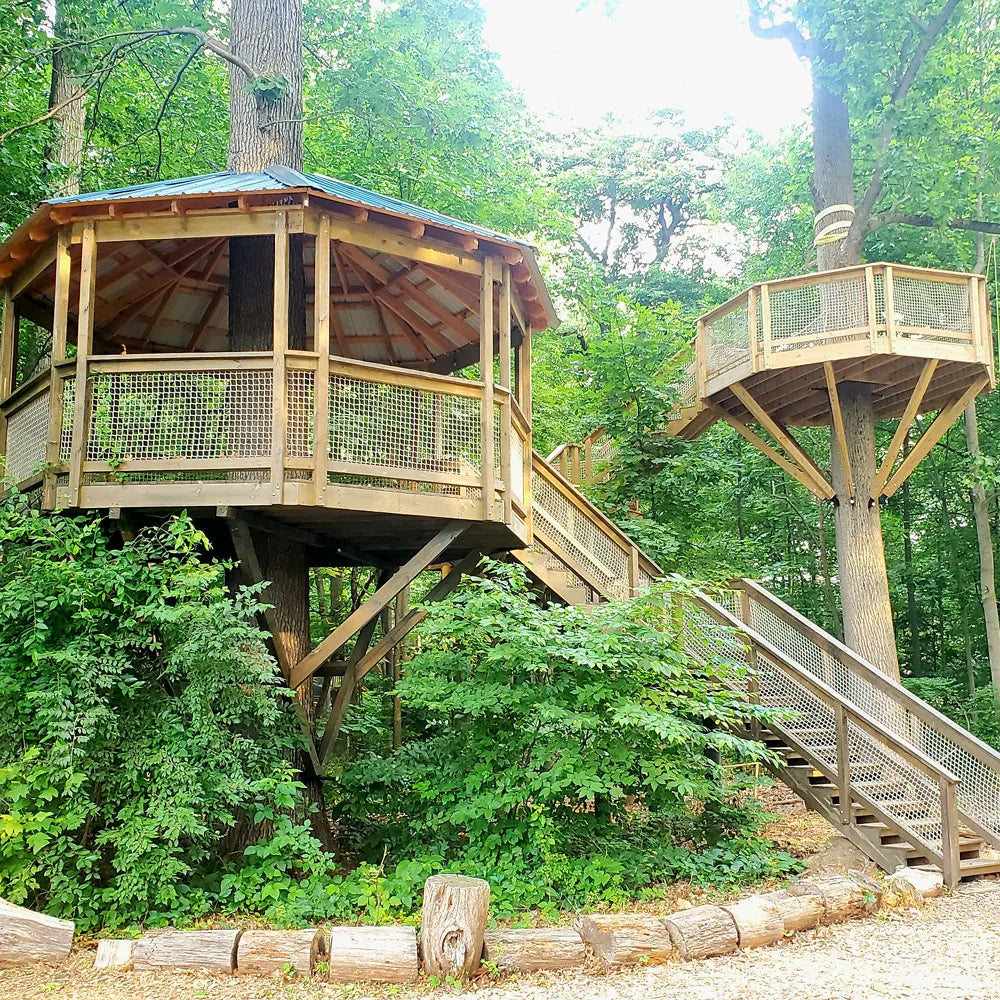 Treehouse World Adventure Park