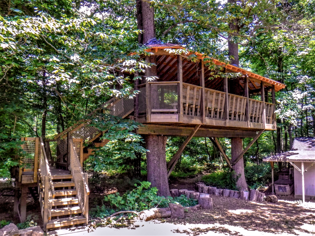 Treehouse Essentials Treehouse Supplies Backyard Treehouse