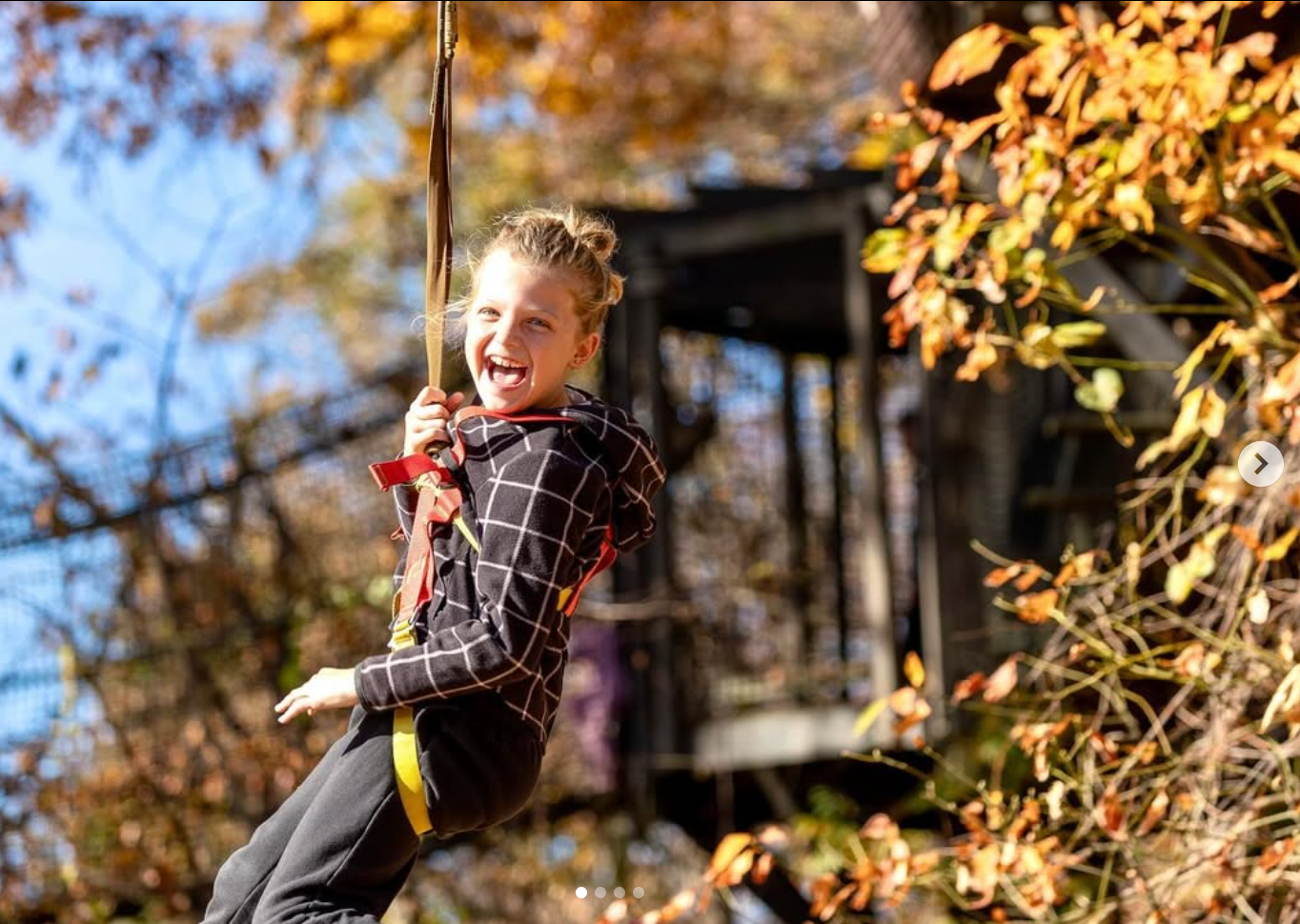 Treehouse World Adventure Park