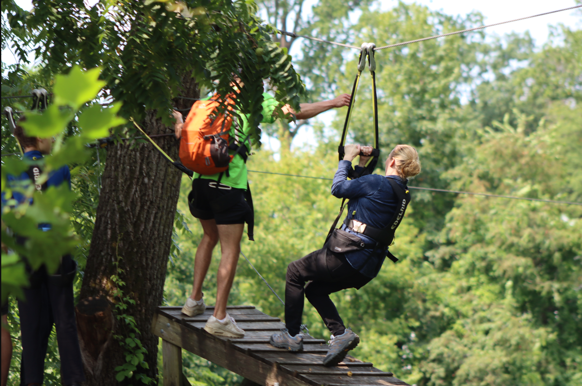 Treehouse World Adventure Park