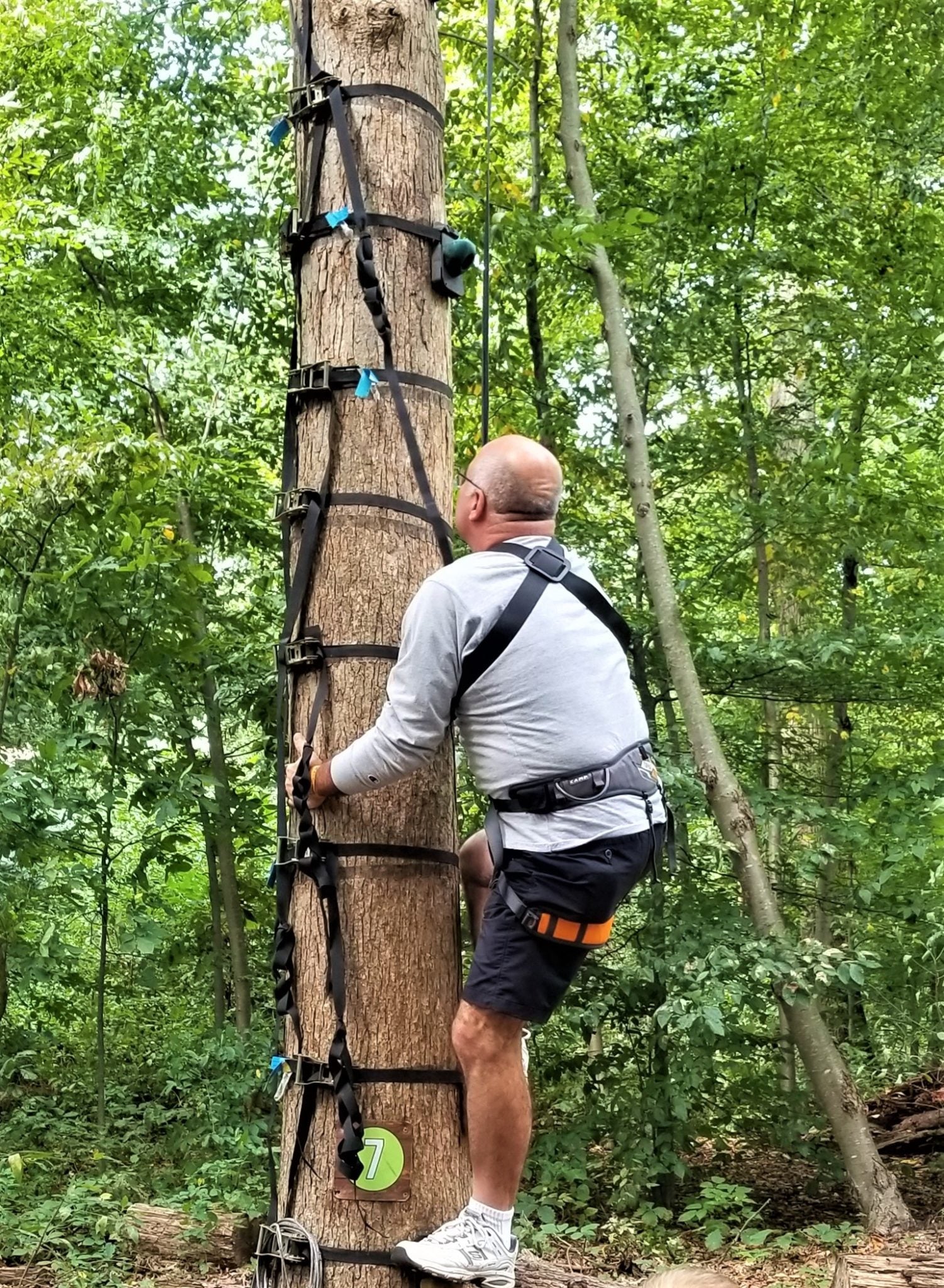 Treehouse World Adventure Park