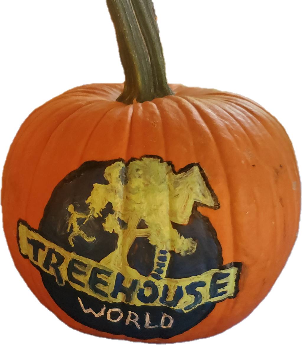 Treehouse World Adventure Park